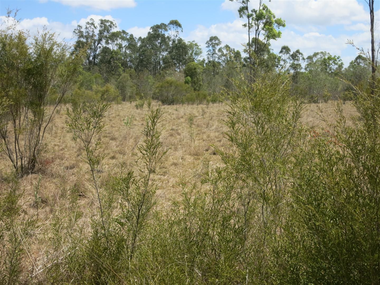 0 "Werribee Creek" Valley Road, Canal Creek, QLD 4702