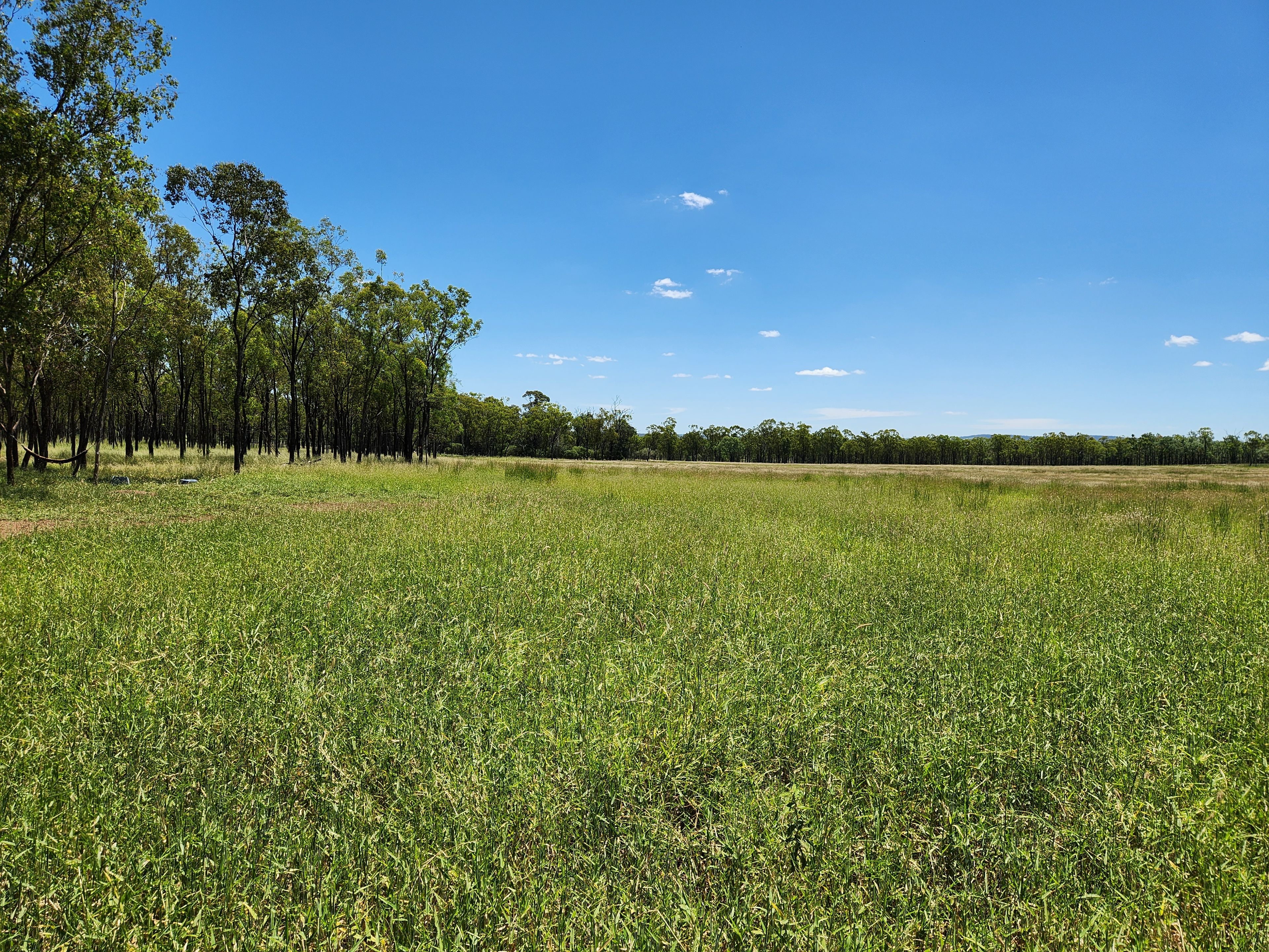 23 Hardings Lane, Glenrae, Mundubbera, QLD 4626 Rural Property for