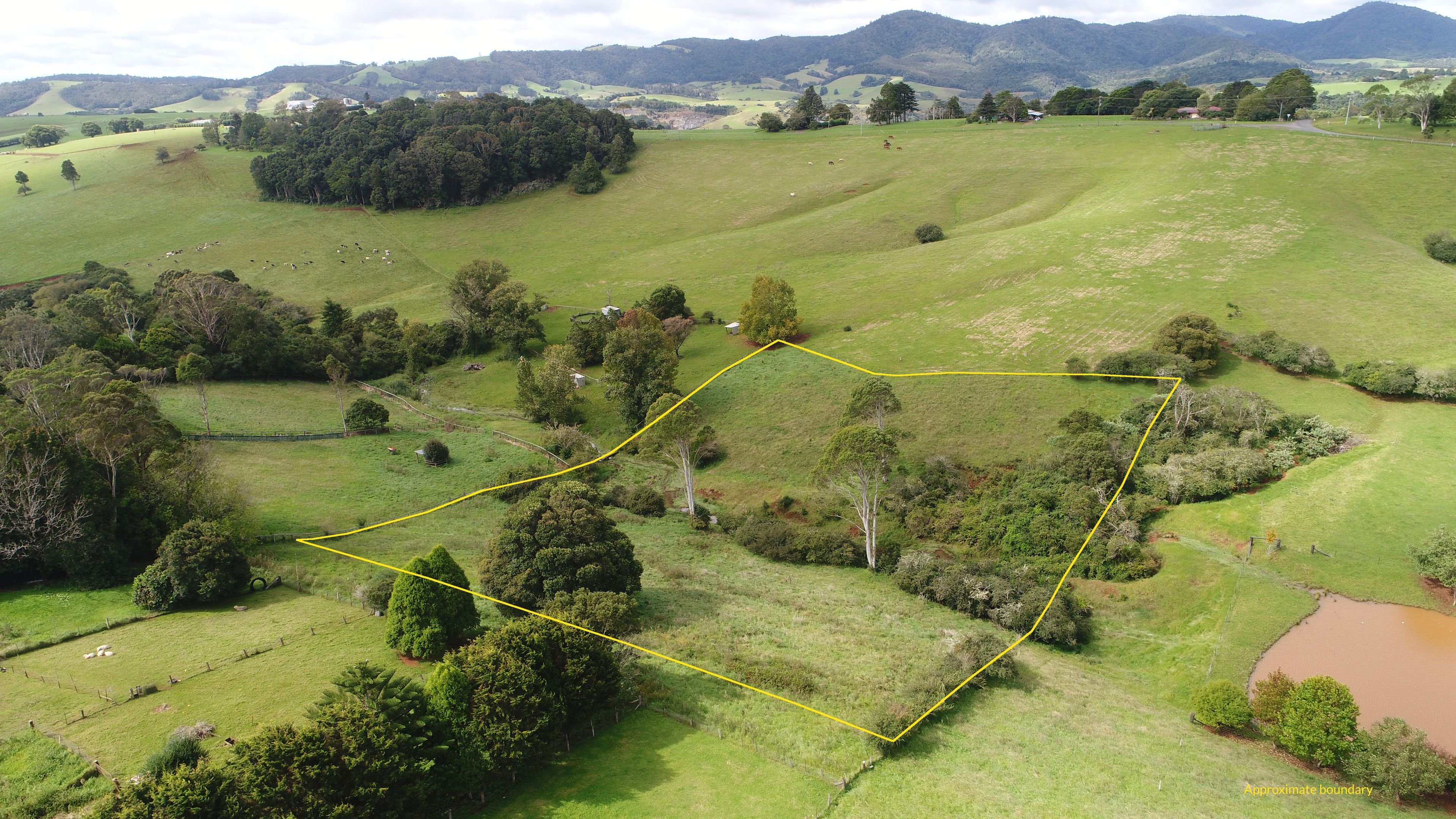 30 Kurrajong Street, Dorrigo NSW 2453