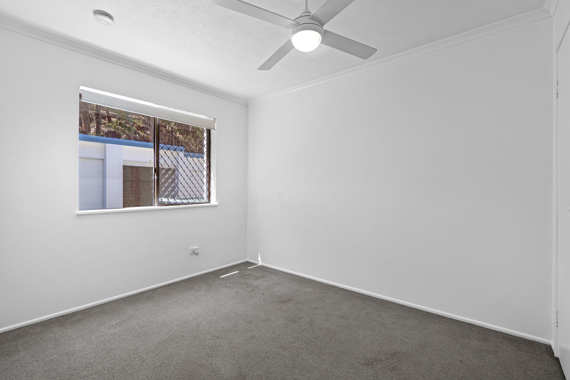 43/169 John Paul Drive — photo 5 of 12
