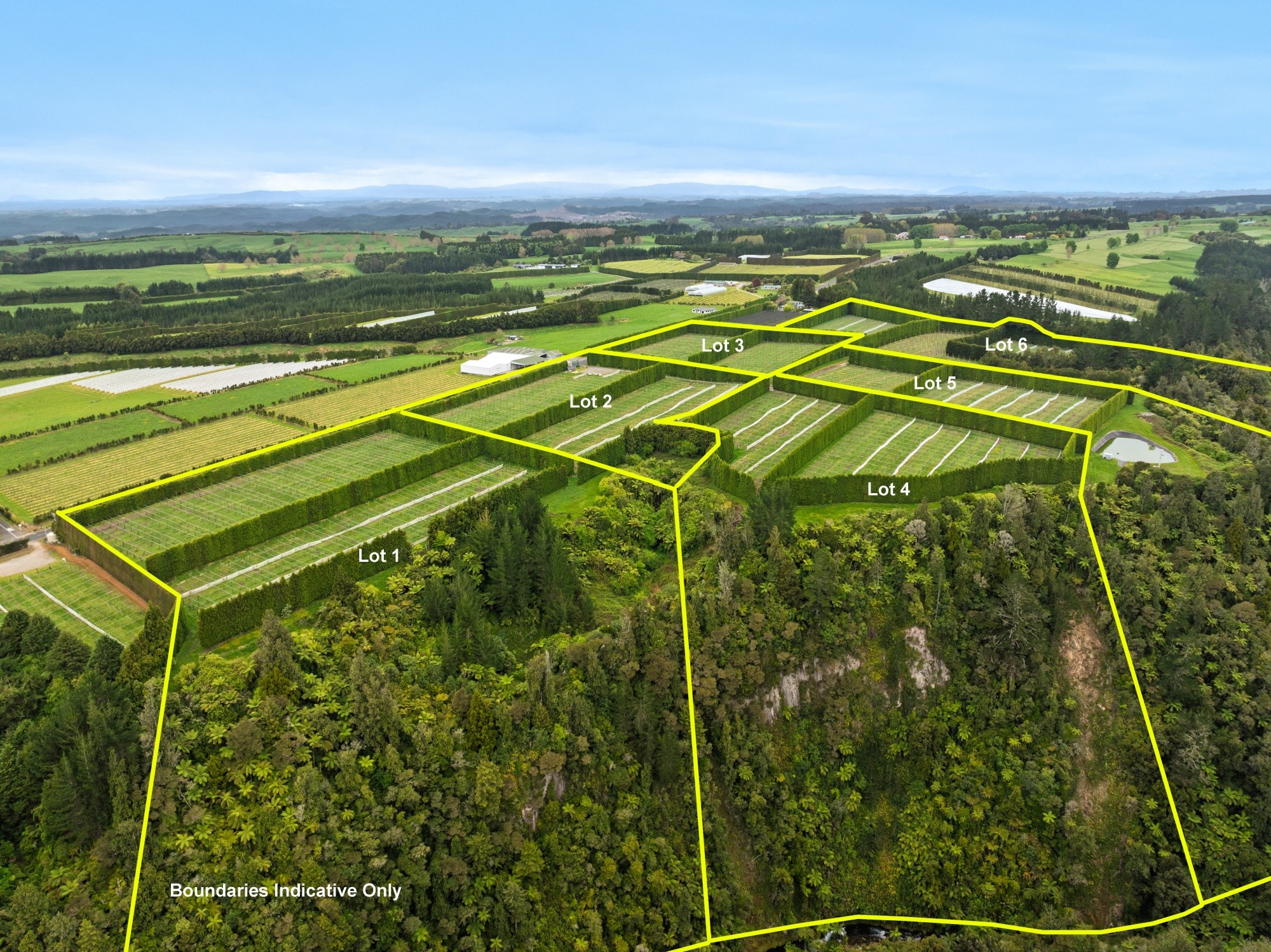 Lot 6/1010 Te Matai Road, Te Puke, Western Bay Of Plenty District
