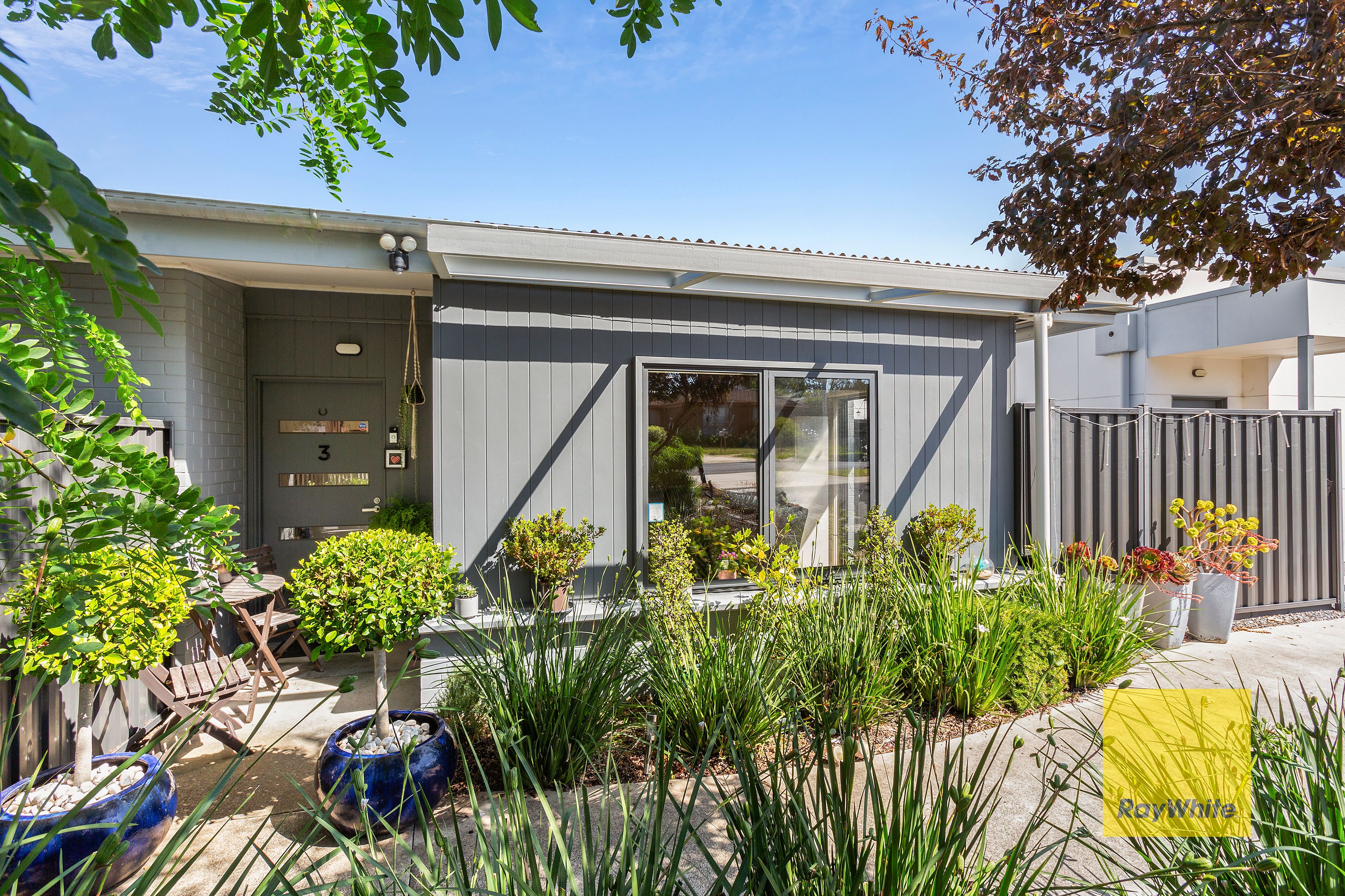 17 Colac Grove, Belmont VIC 3216