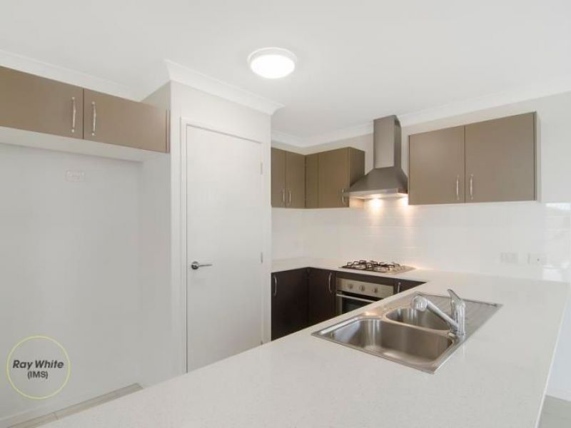 17 Corkwood Court, Coomera, QLD 4209
