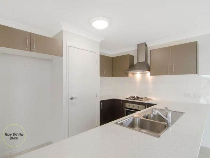 17 Corkwood Court, Coomera, QLD 4209