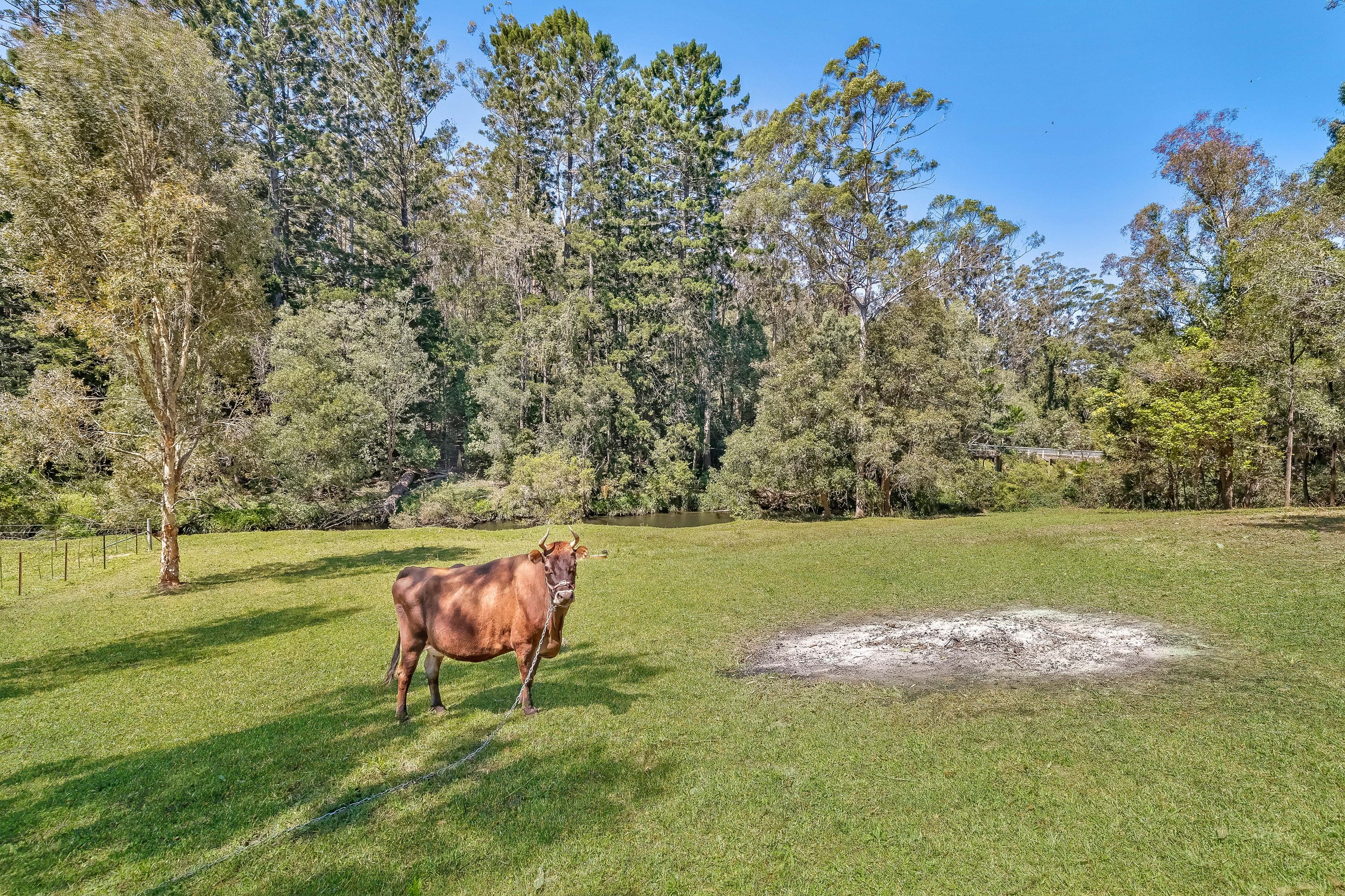 4 Davenport Drive, Bonogin, QLD 4213