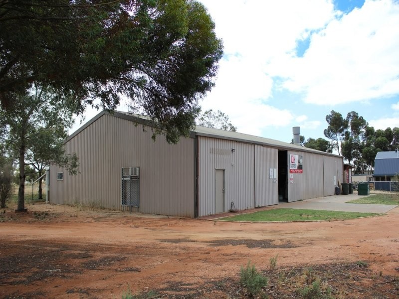 86 Trenerry Avenue, Loxton, SA 5333