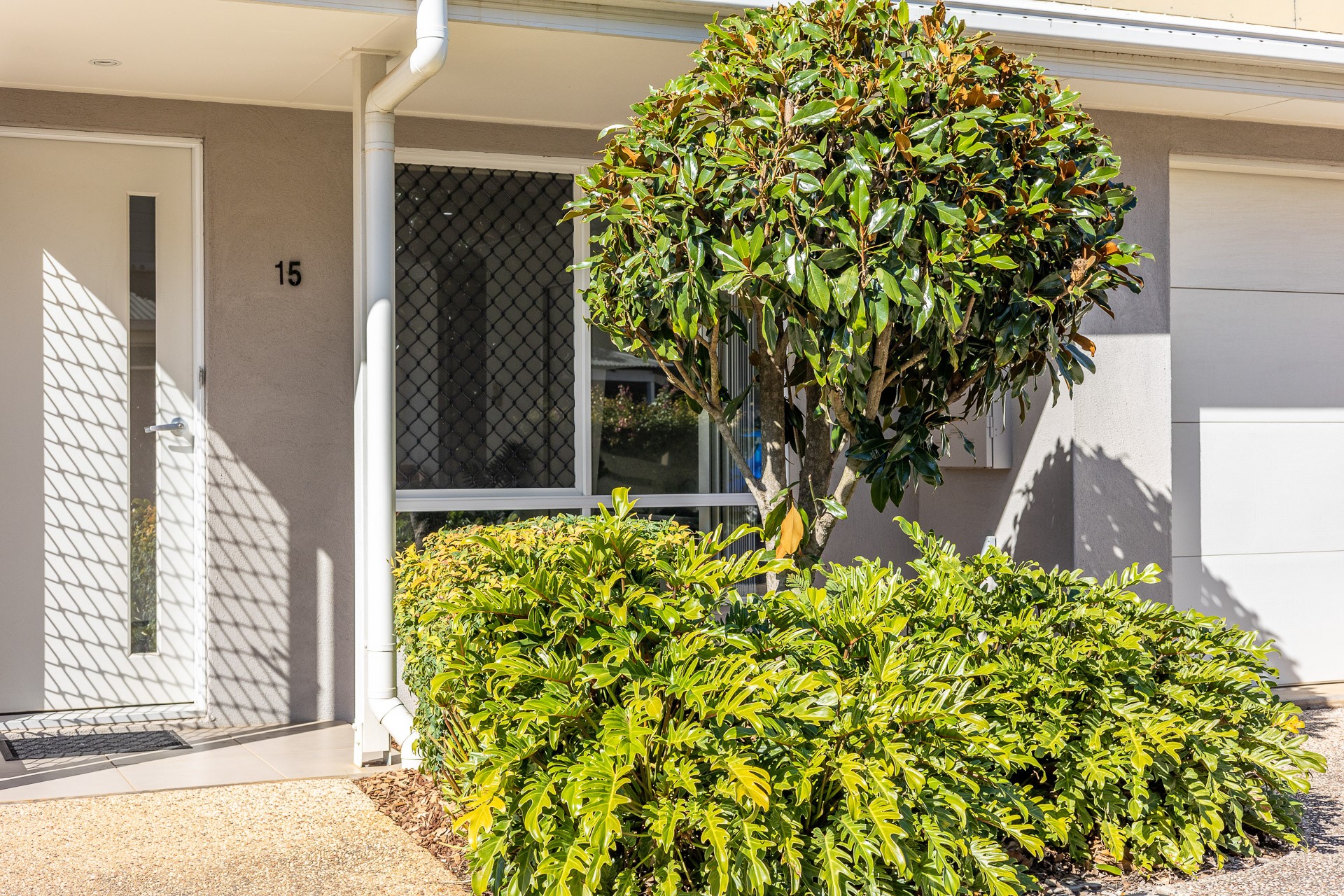 15/24 Avondale Street, Newtown, QLD 4350