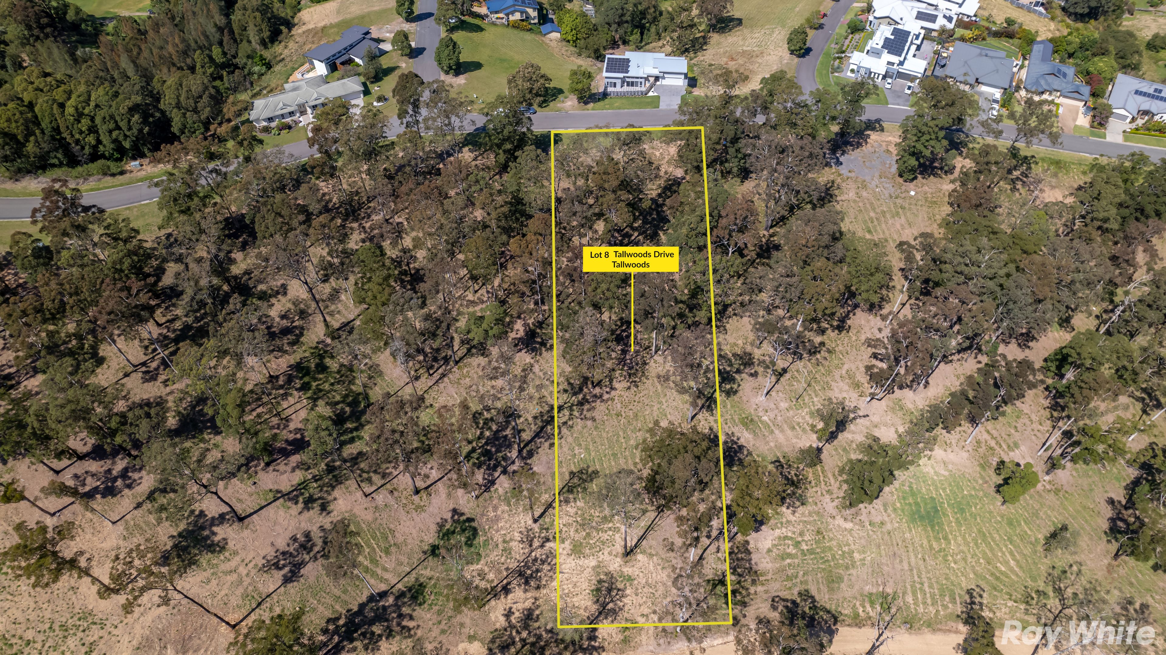 253 Tallwood Drive — photo 4 of 6