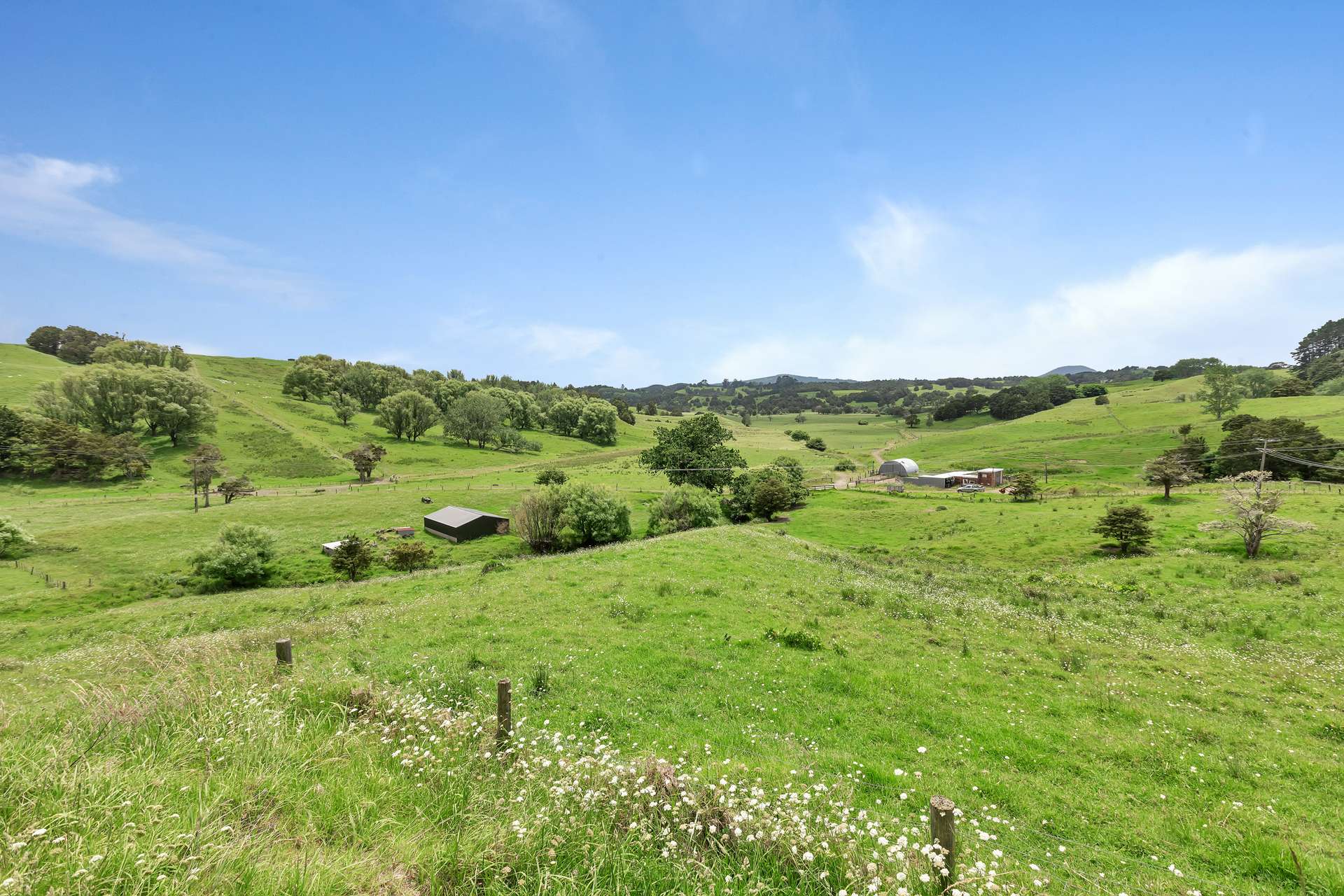 812 Tangihua Road photo 0