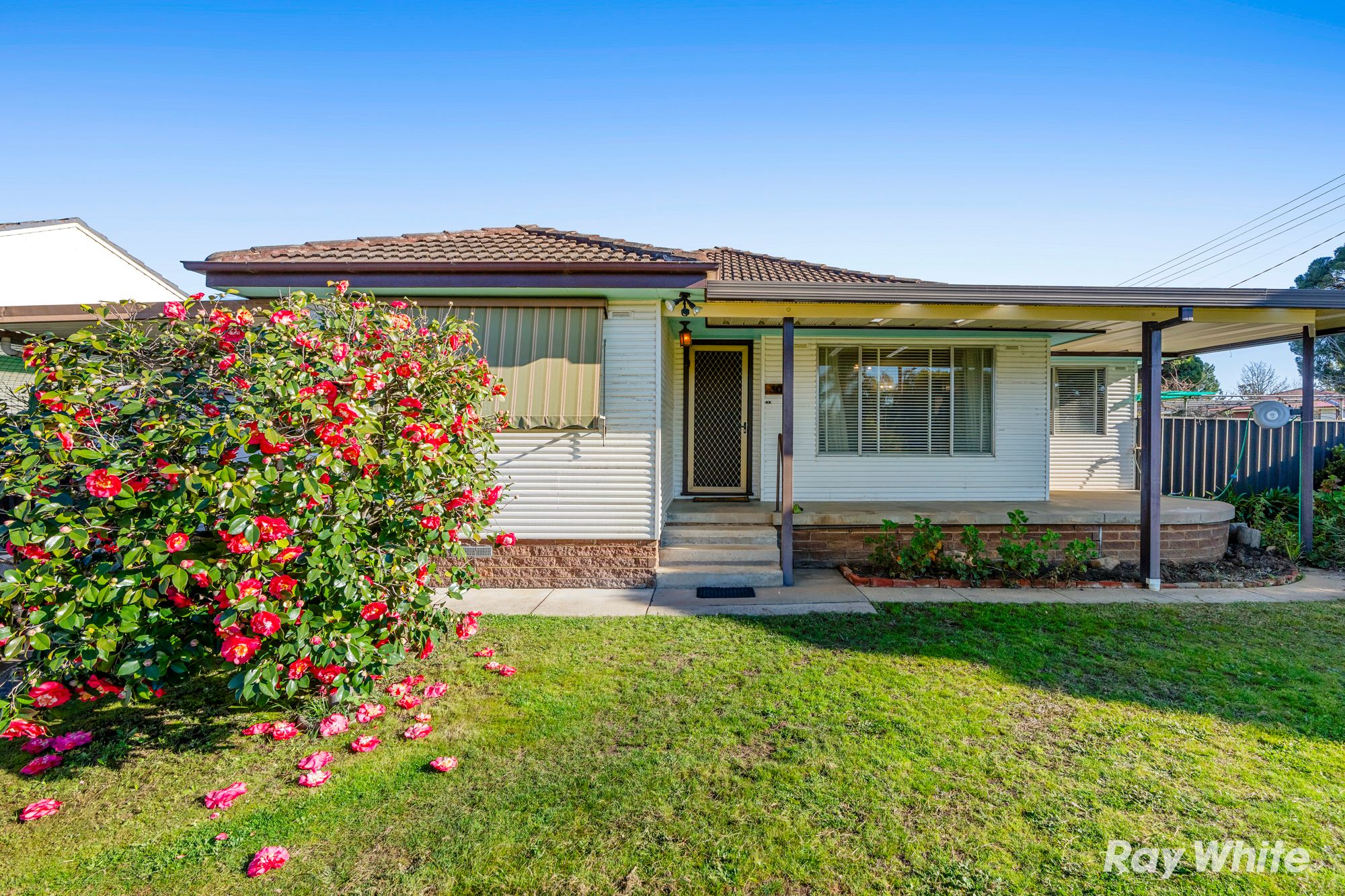 30 Cutler Avenue — photo from Ray White Wagga Wagga