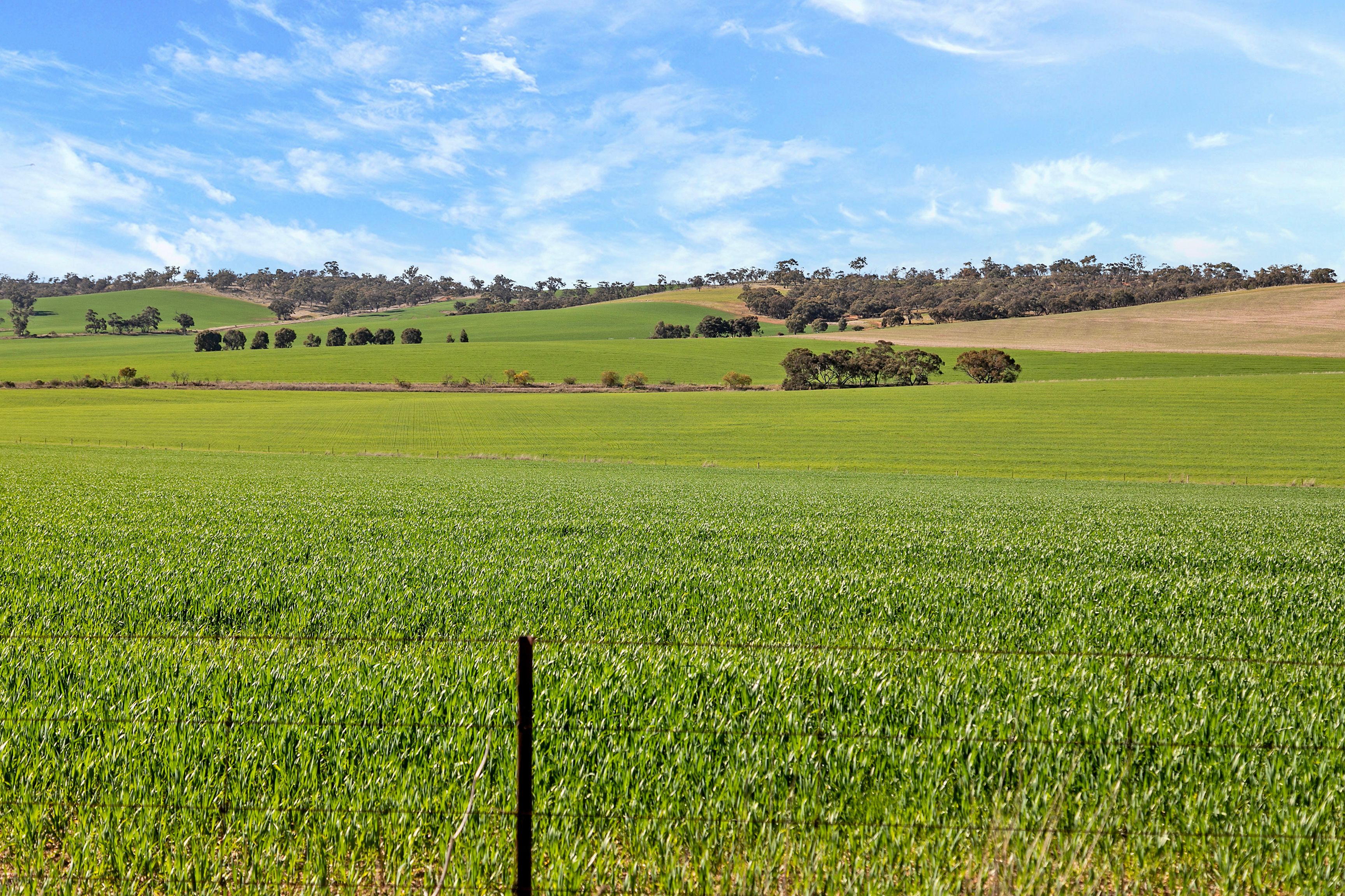 'Wegners' Wegner Road, Wirrabara, SA 5481
