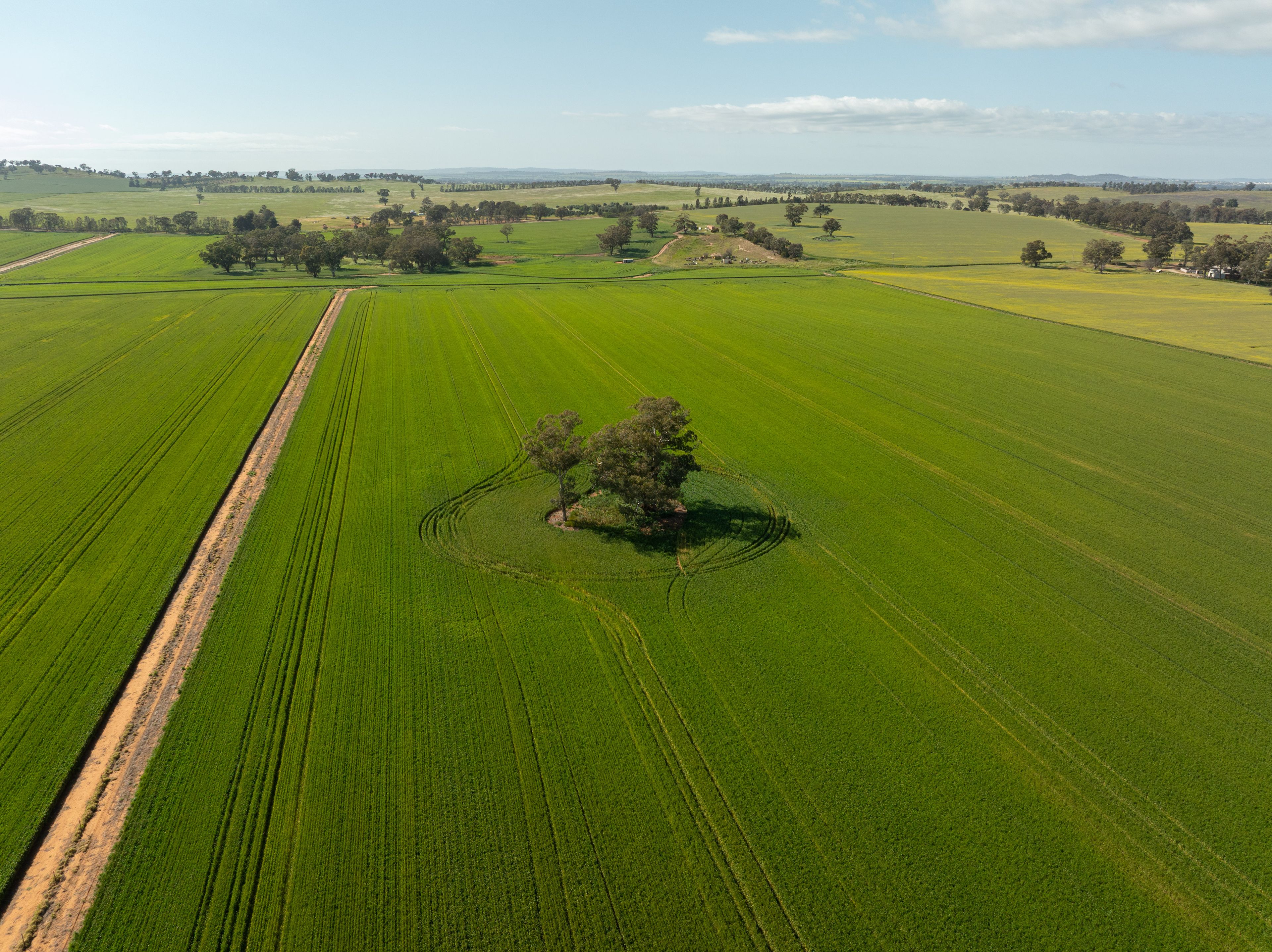 267 Gap Hall-Coolamon Road — photo 3 of 13