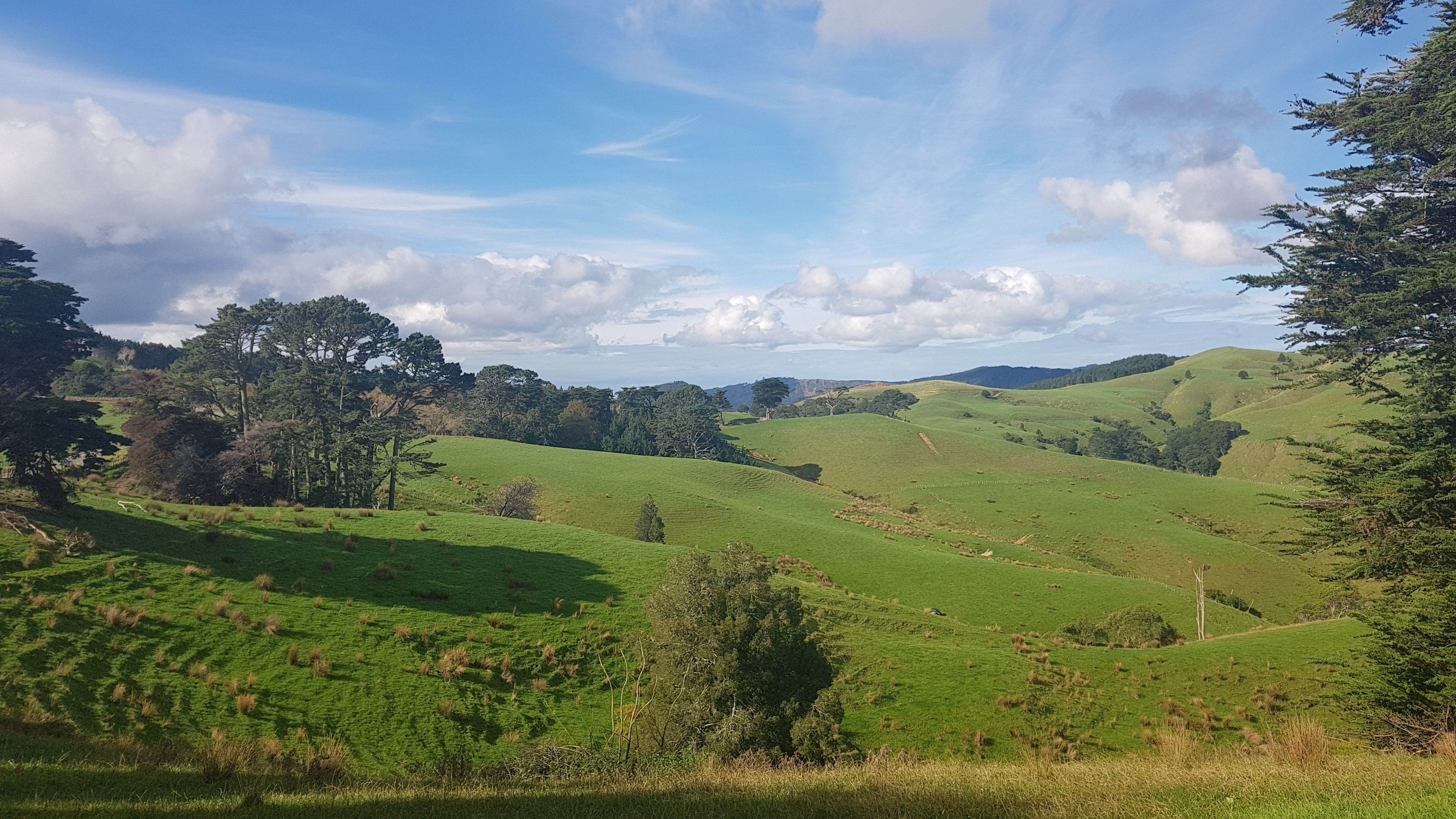 1054 Kaipara Hills Road, Kaipara Flats, Rodney