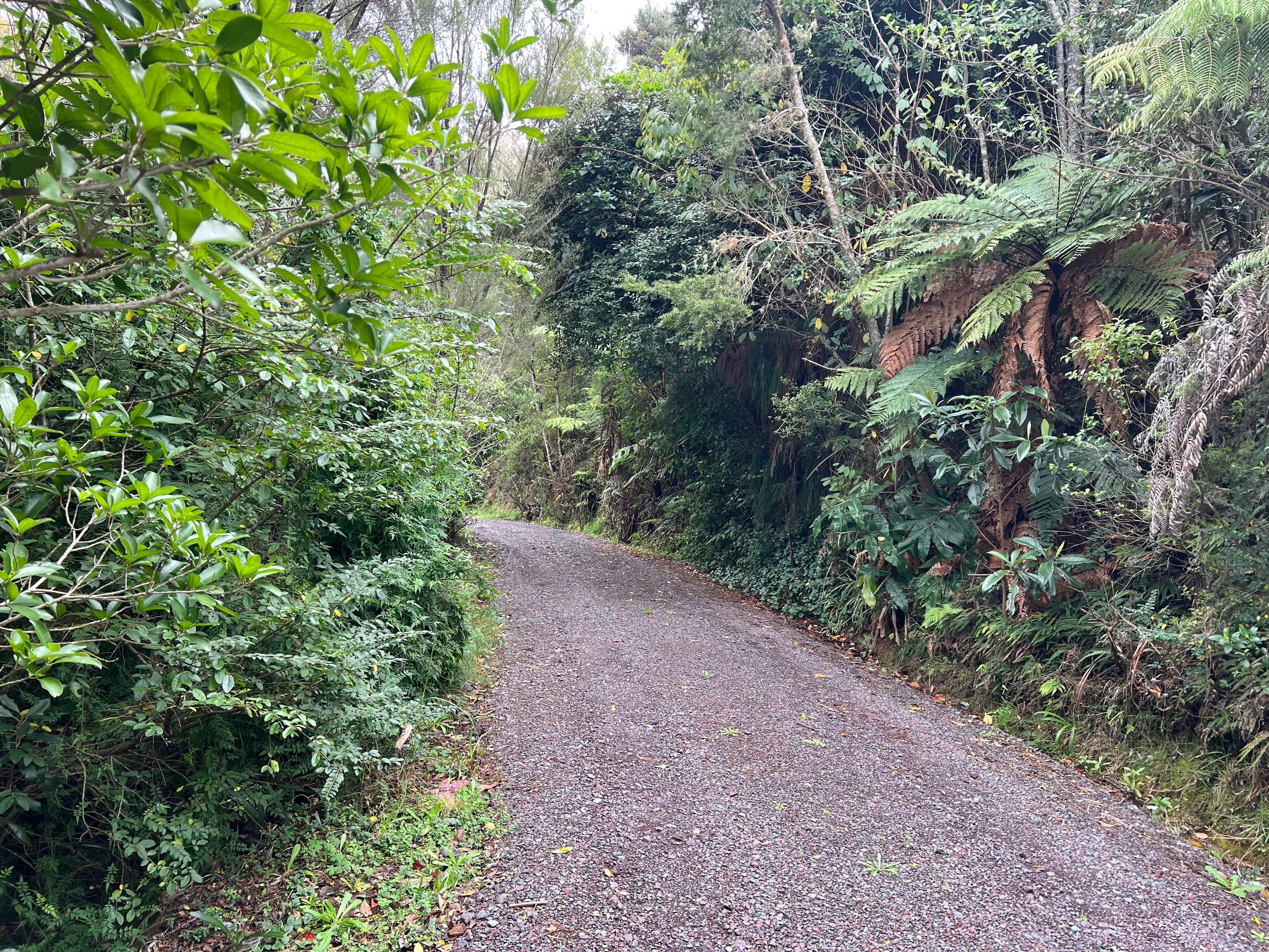 1047 Paihia Road, Opua, Far North District