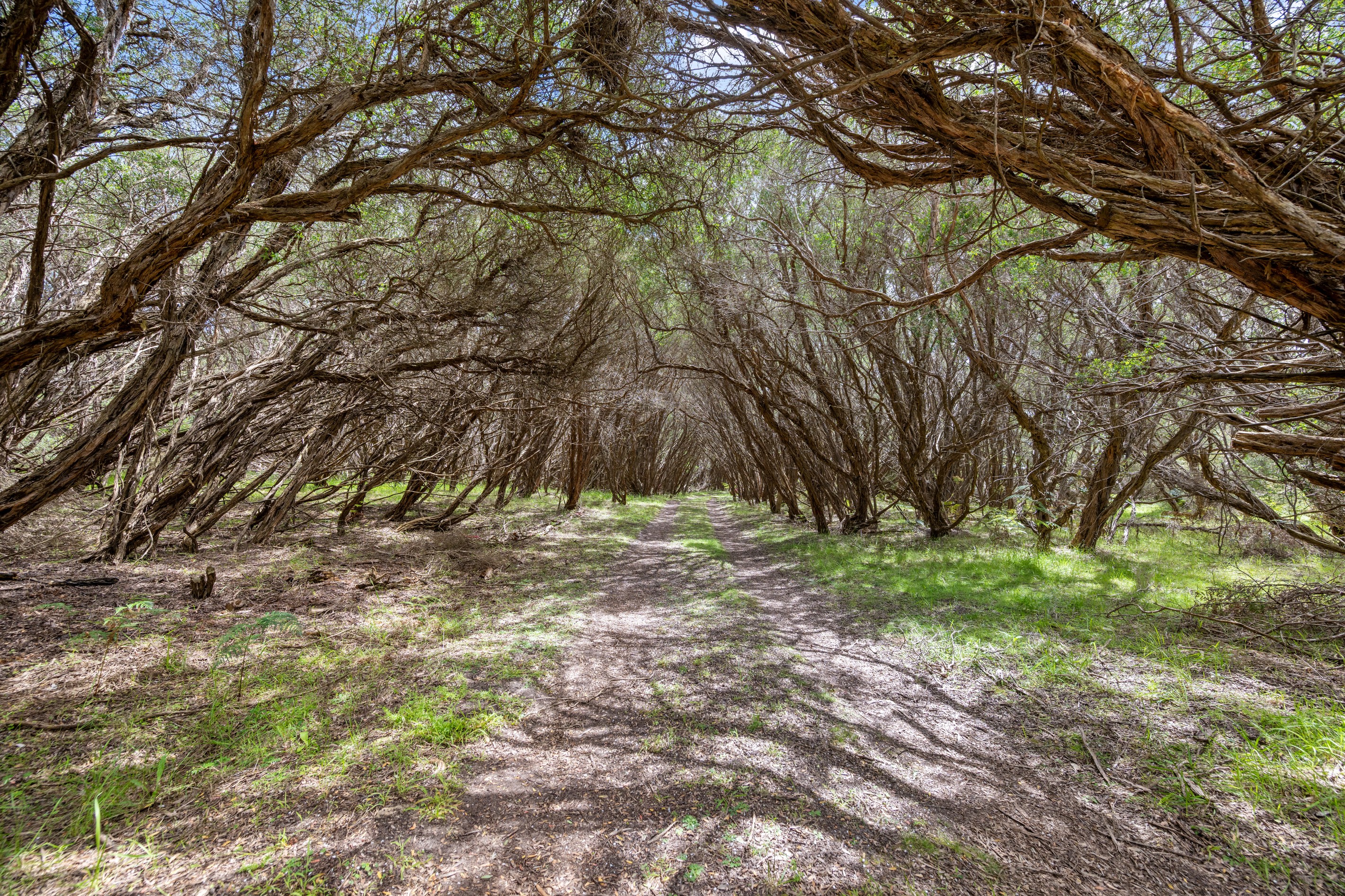 812 Lees Road, Venus Bay, VIC 3956