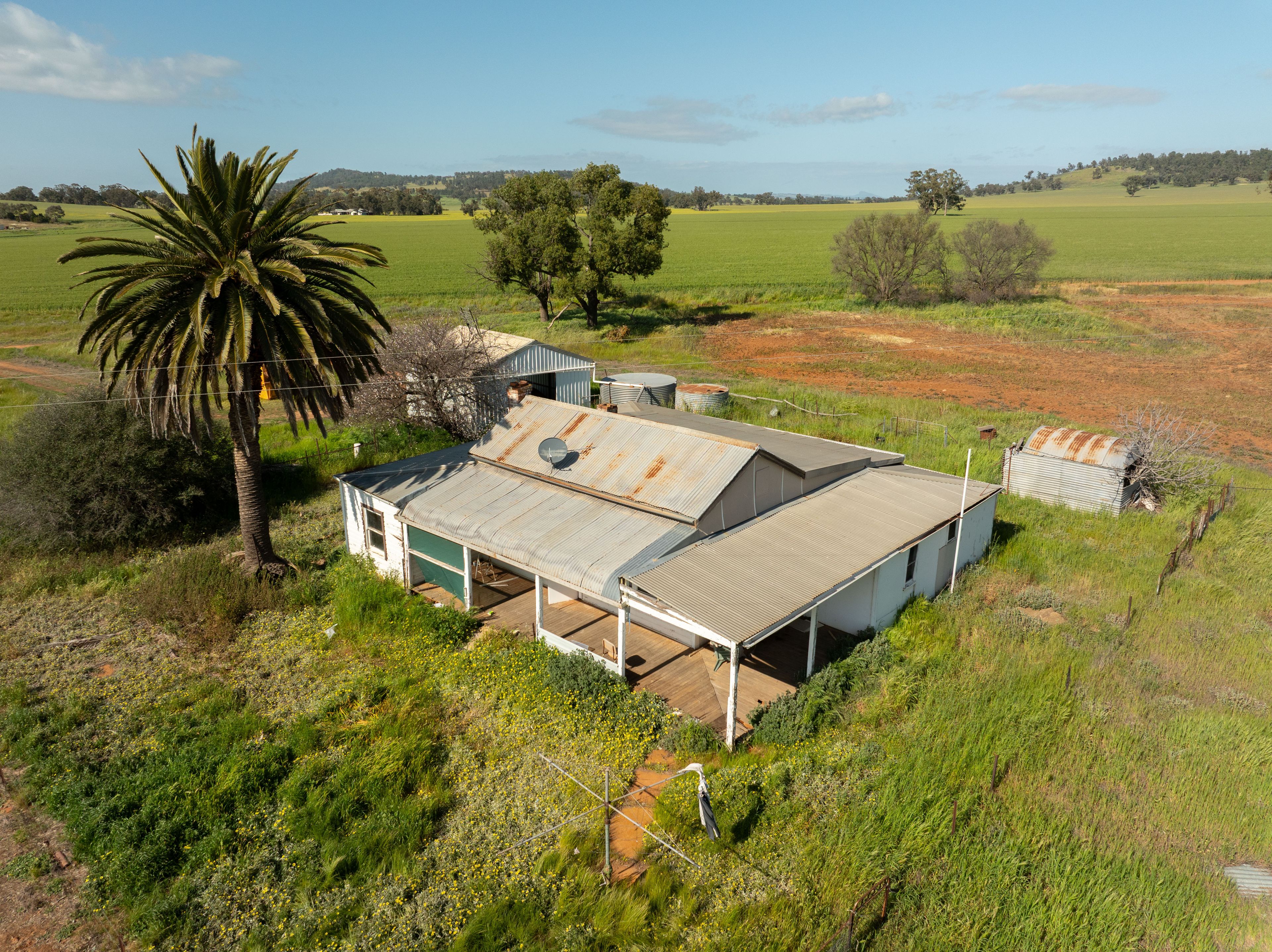 267 Gap Hall-Coolamon Road — photo 9 of 13