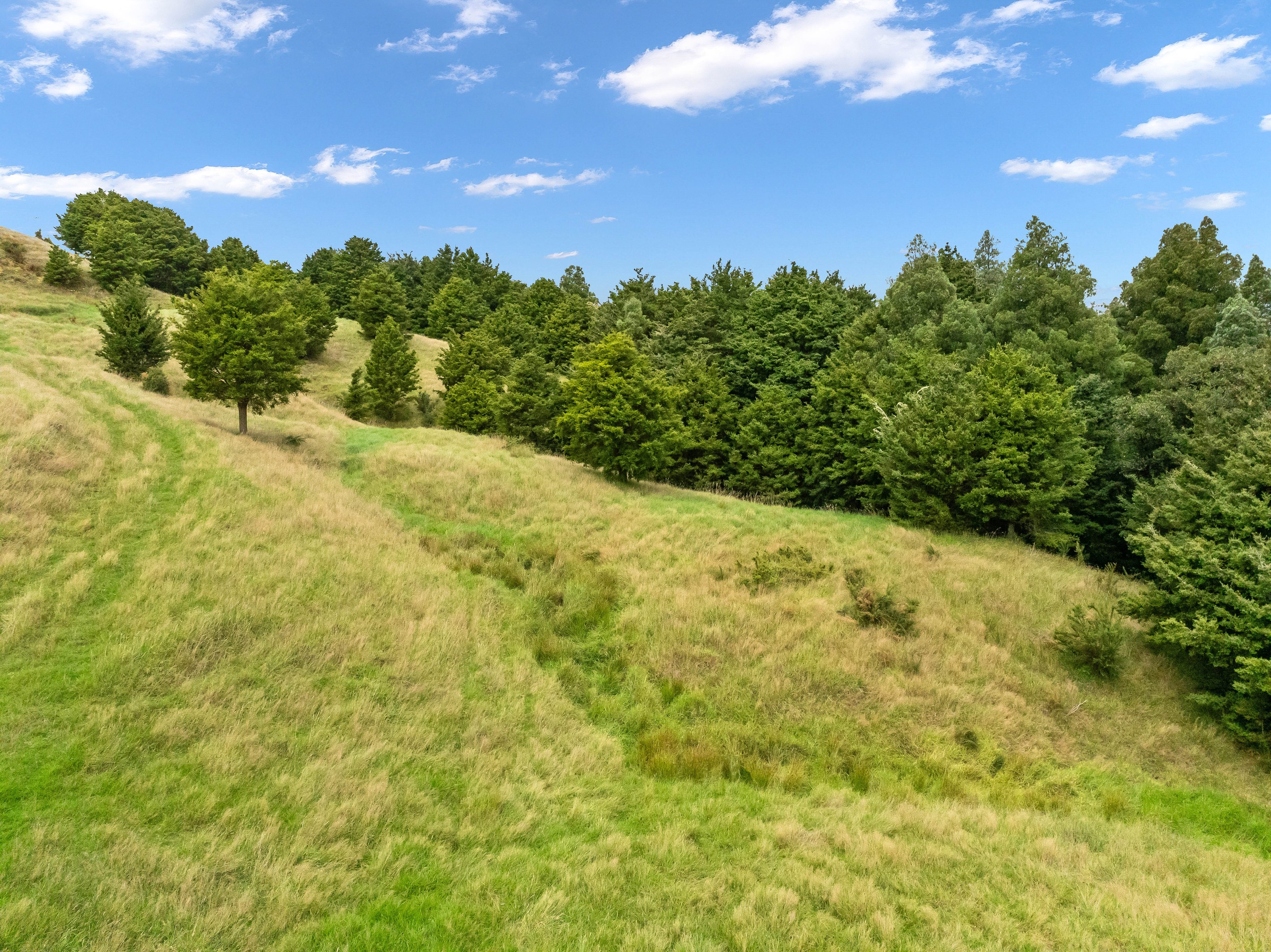 0 Hayward Road, Maungakaramea, Whangarei District
