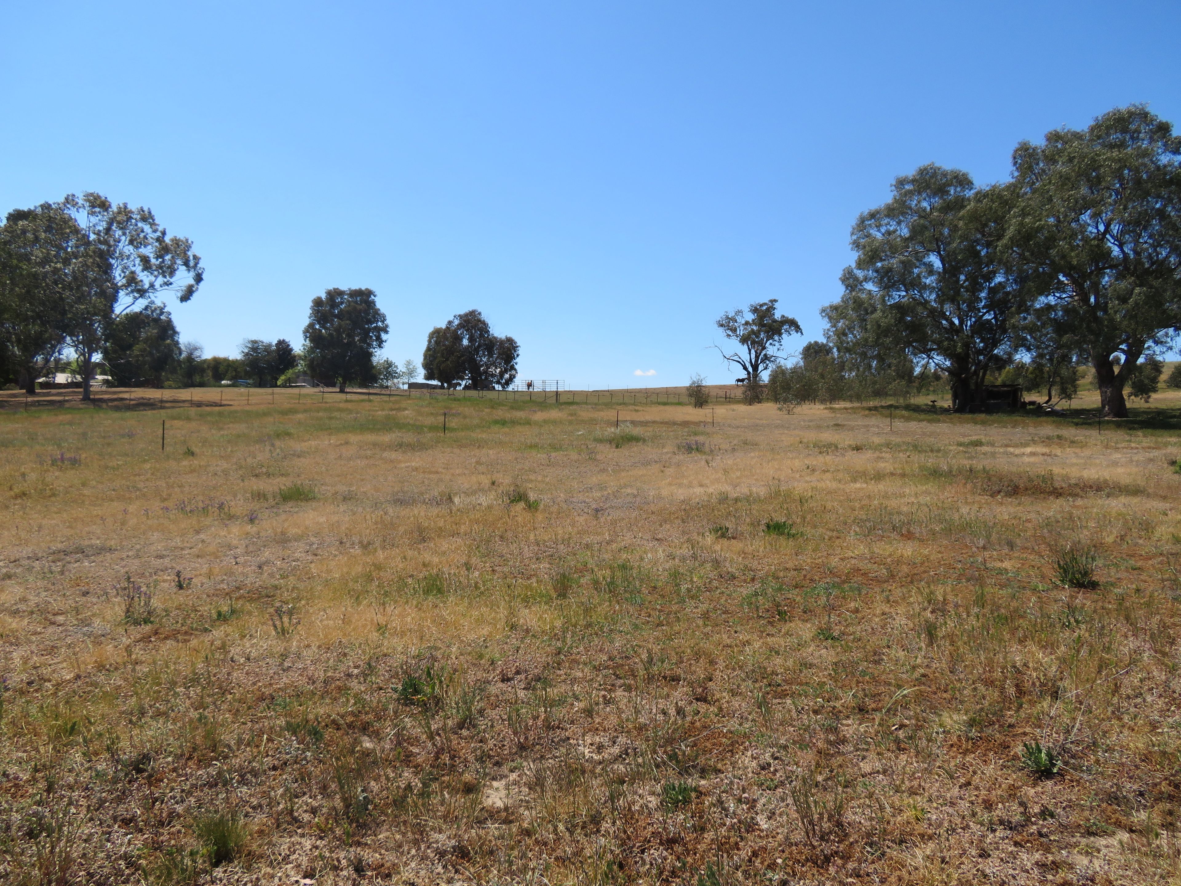 Lot 1 Neil McInerney Street, Gundagai, NSW 2722