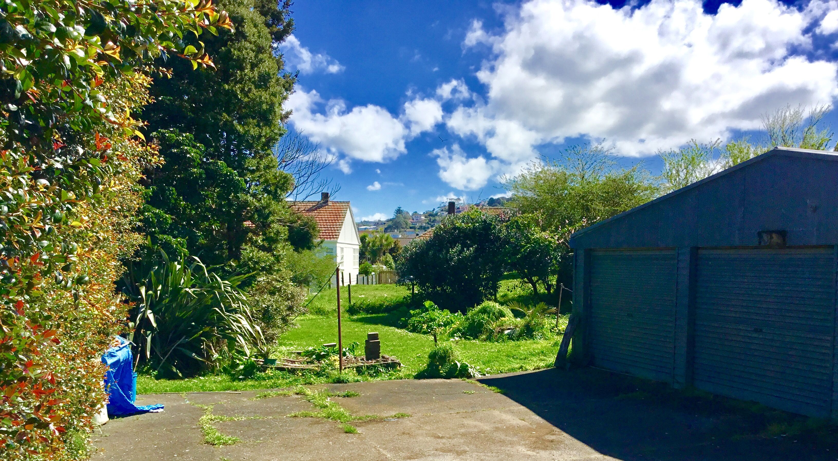 5 Denize Road, Owairaka, Auckland