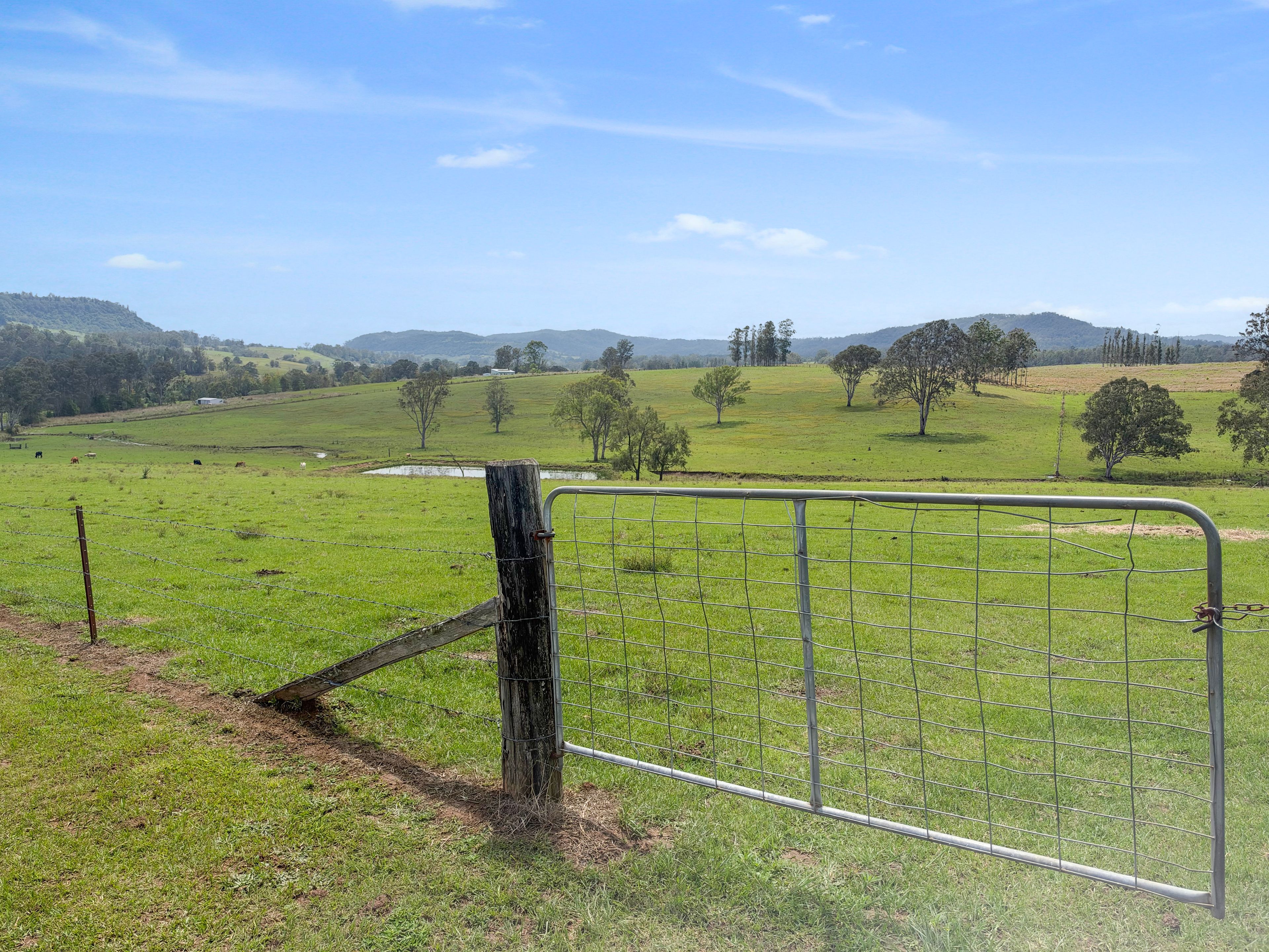 261-284 Tabulam Road, Bottle Creek Via — photo 26 of 29