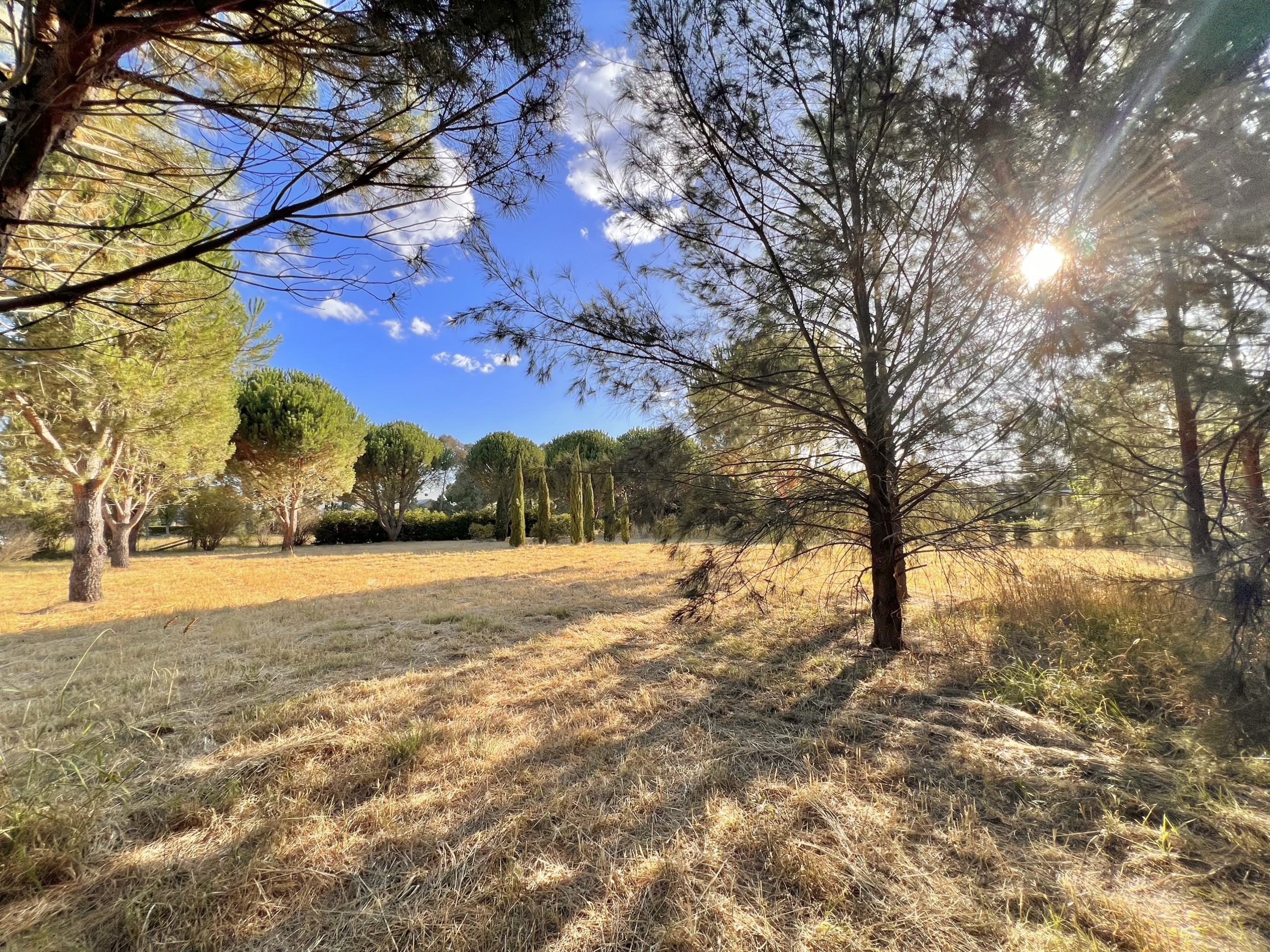 94 Cork Street, Gundaroo, NSW 2620