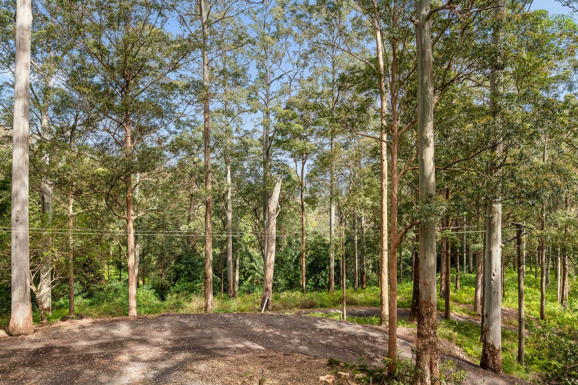 Leafy scenery in a stylishly renovated family retreat — photo 15 of 17
