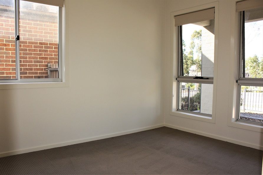 16 Selwyn Avenue, Minto, NSW 2566
