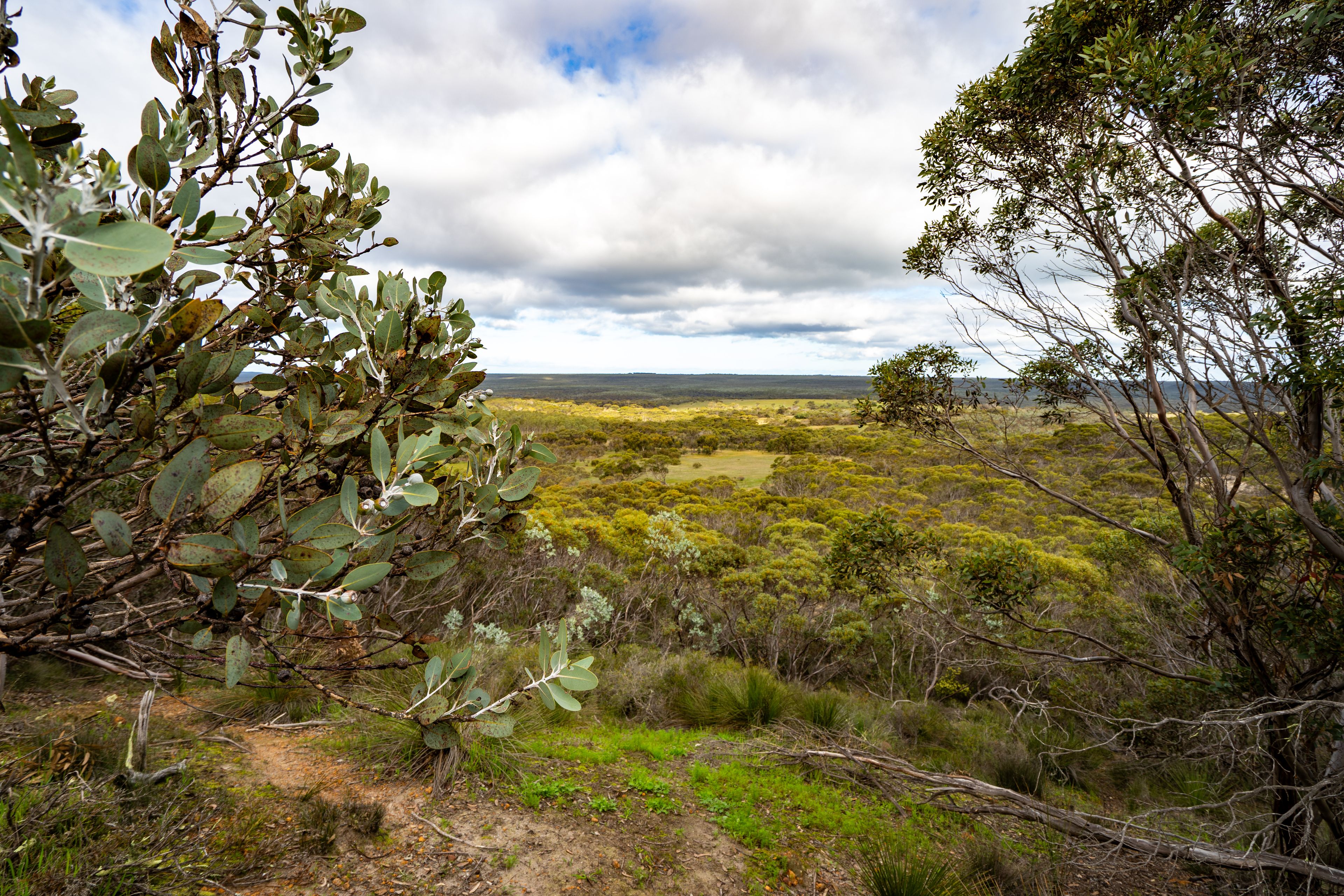 Lot 1895 Pallinup River Estate — photo 18 of 30