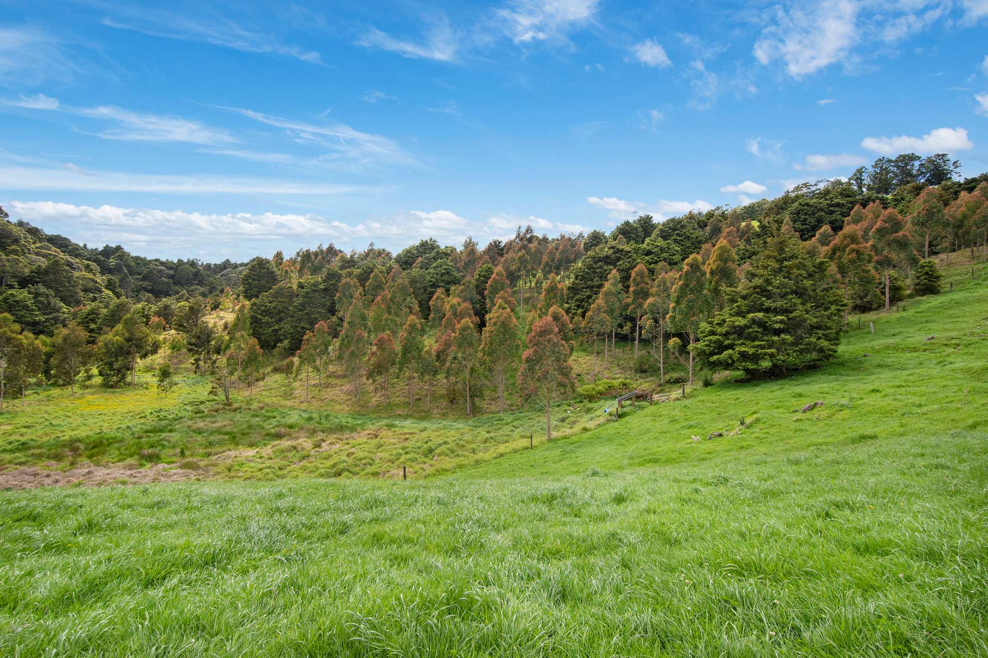 0 Russell Road Airstrip Block photo 10