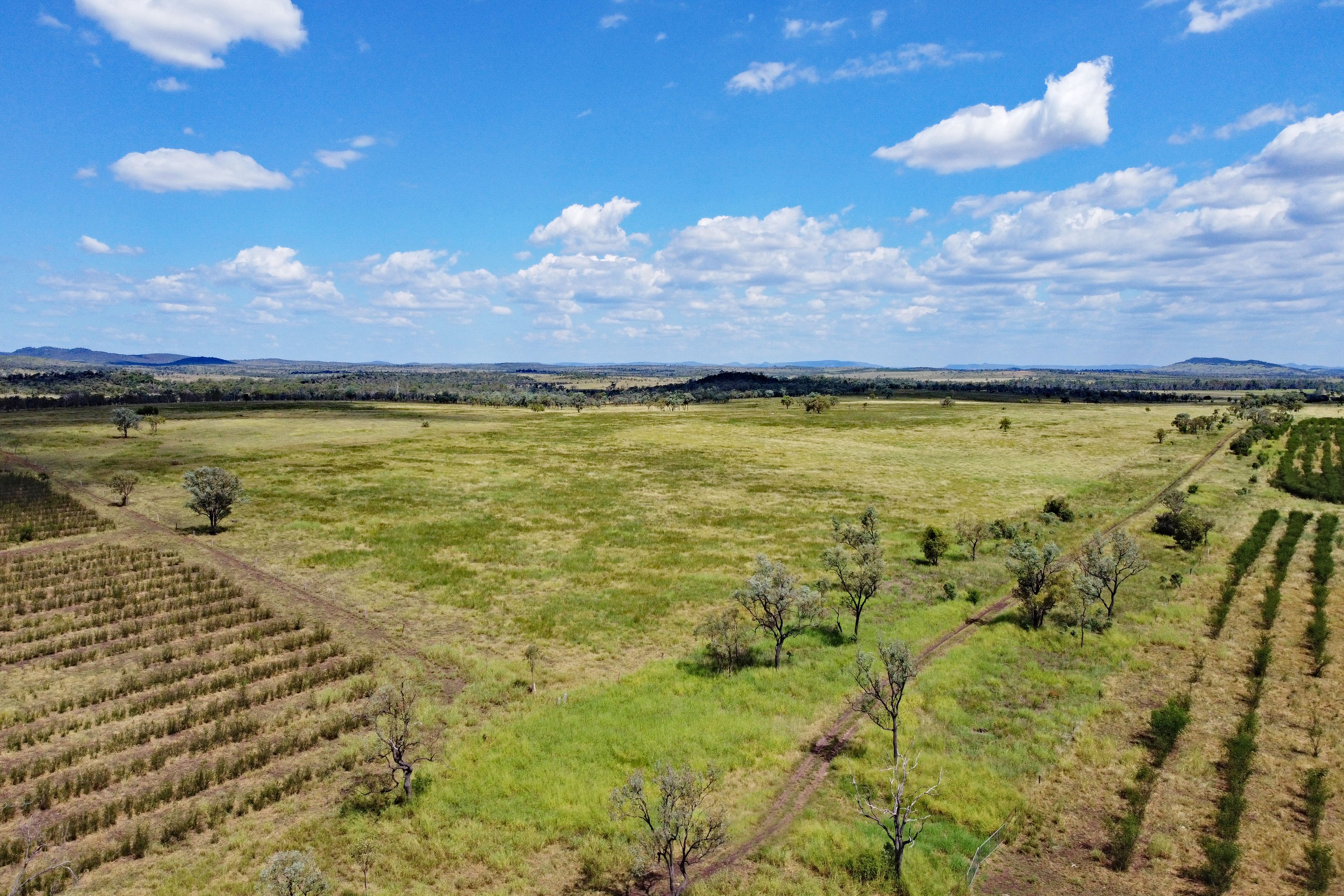 Camboon, QLD 4719 Rural Property for Sale Ray White Biloela