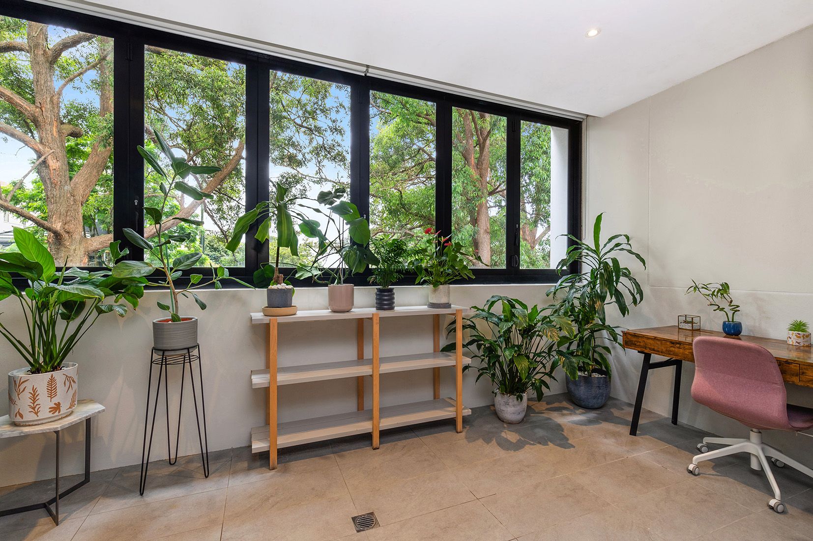 409B/34 Penshurst Street, Willoughby, NSW 2068 Unit for Sale Ray