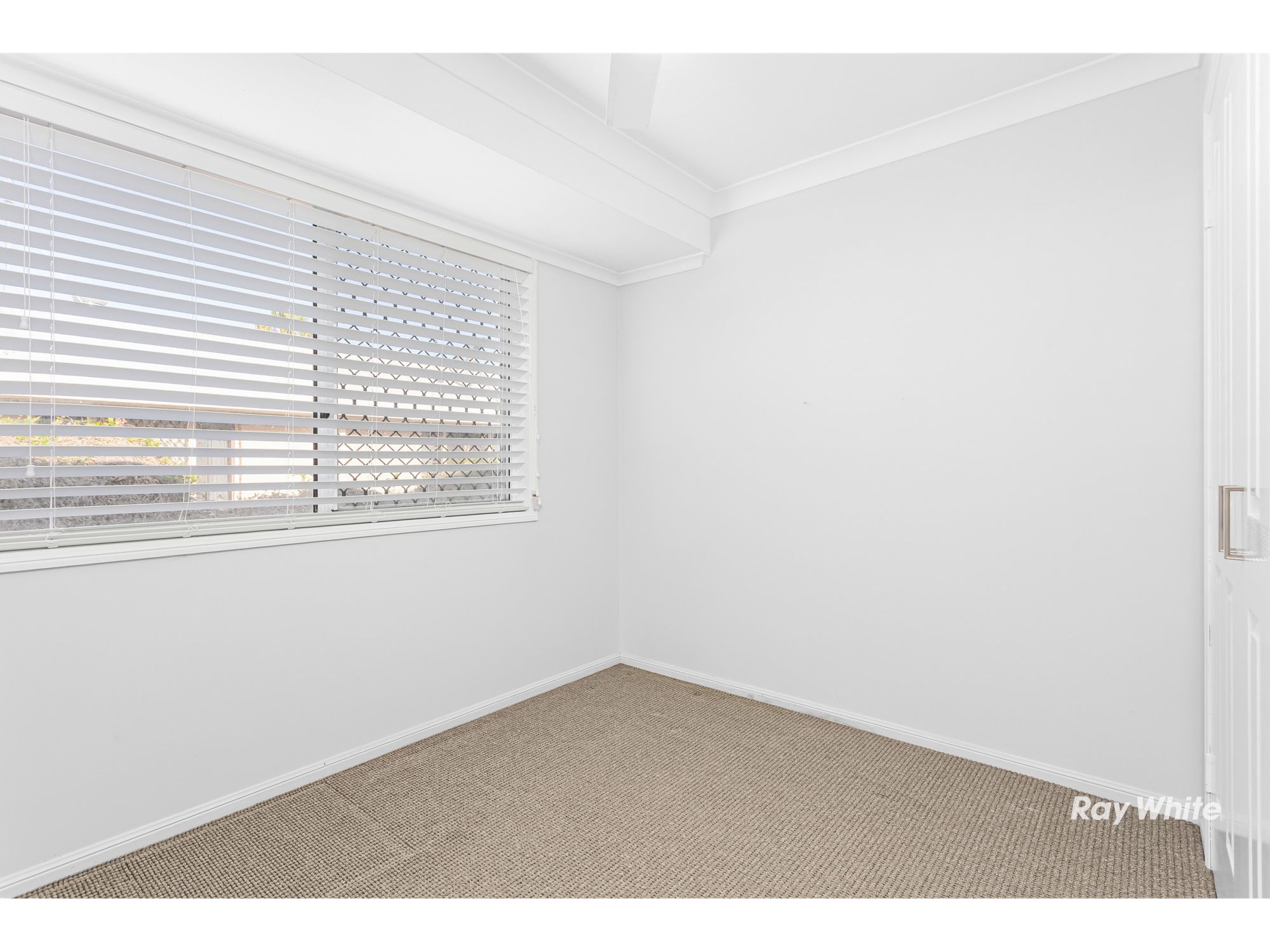6 Rowe Crescent — photo 3 of 12