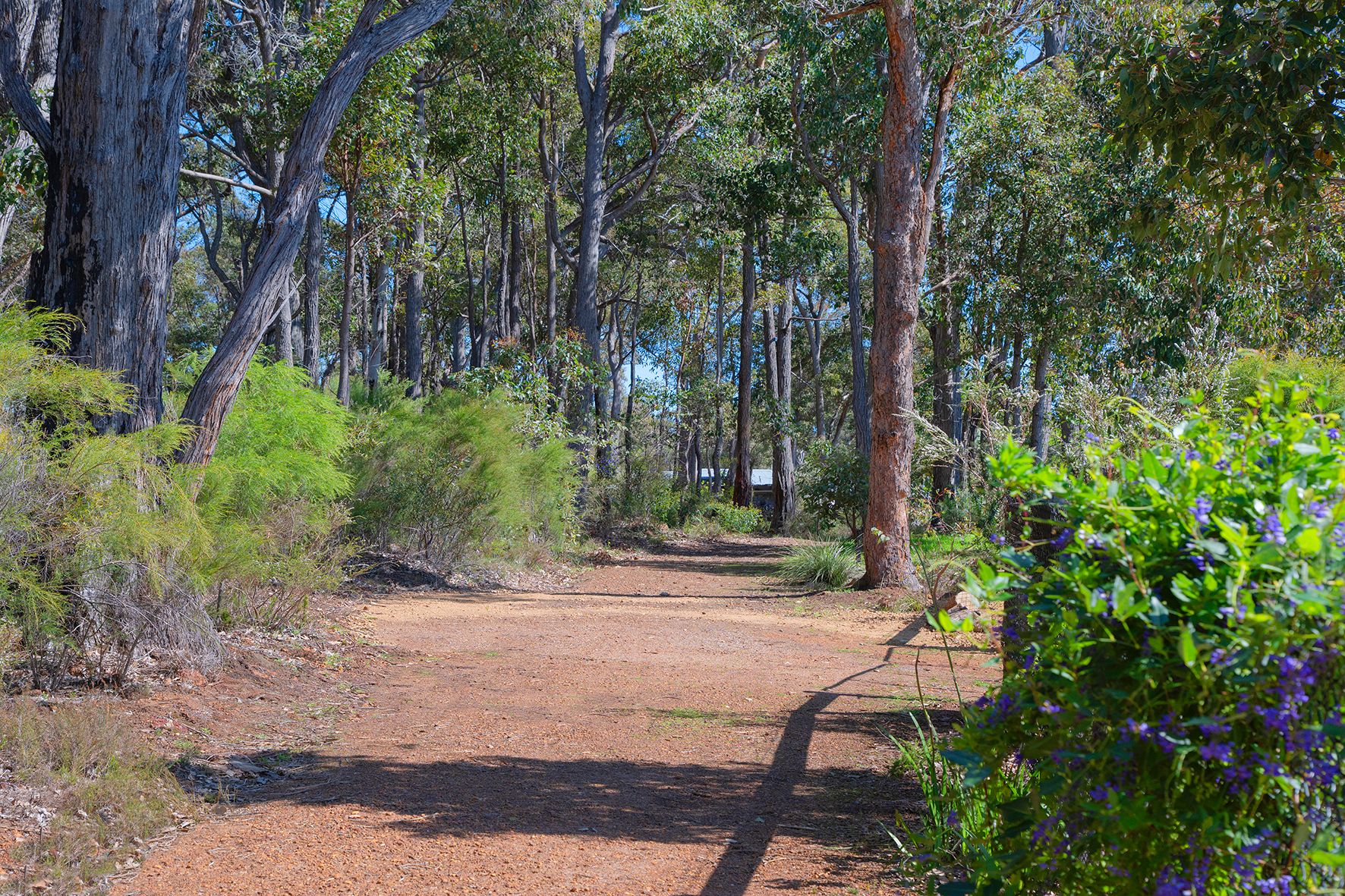 5 Wandoo Place — photo 8 of 29