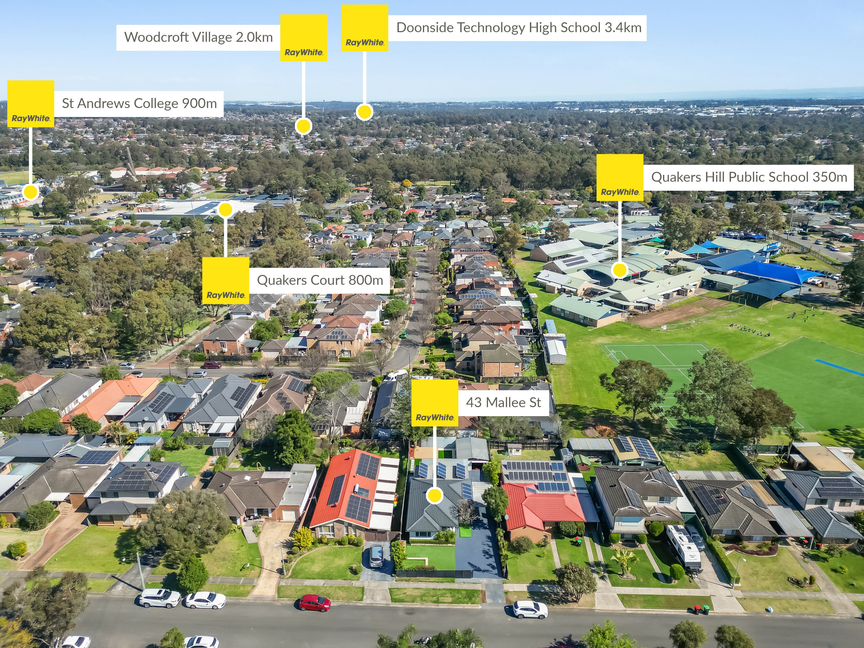 43 Mallee Street — photo 23 of 26