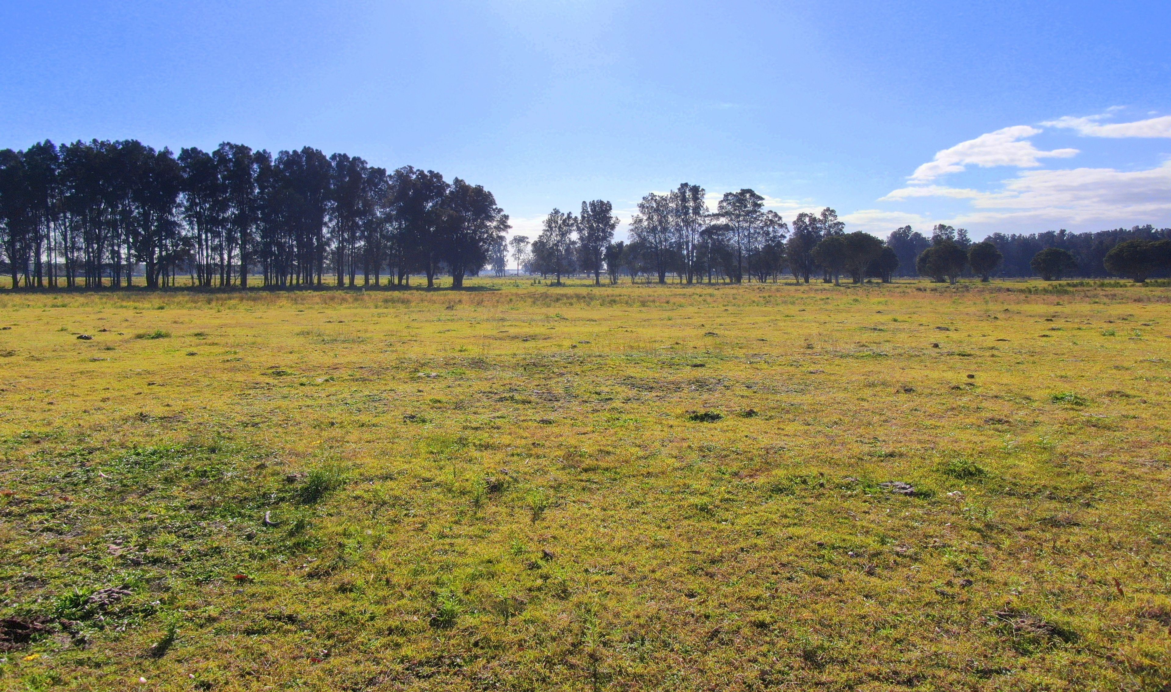 118 Fullerton Cove Road, Fullerton Cove, NSW 2318