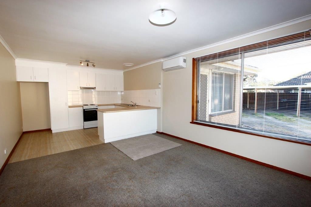 1/3 Everett Close, Herne Hill, VIC 3218