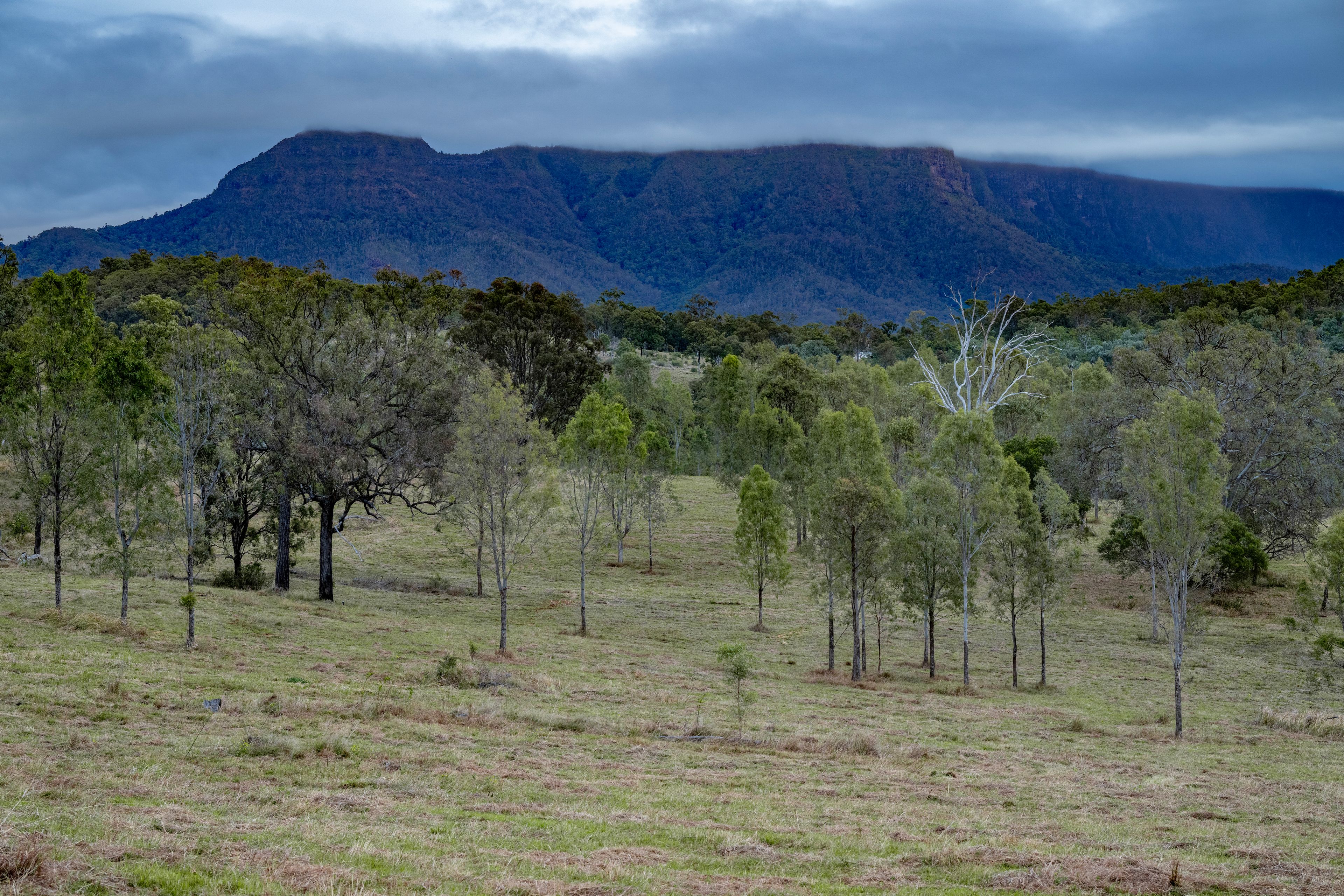 0 Cunningham Highway, Clumber, QLD 4309