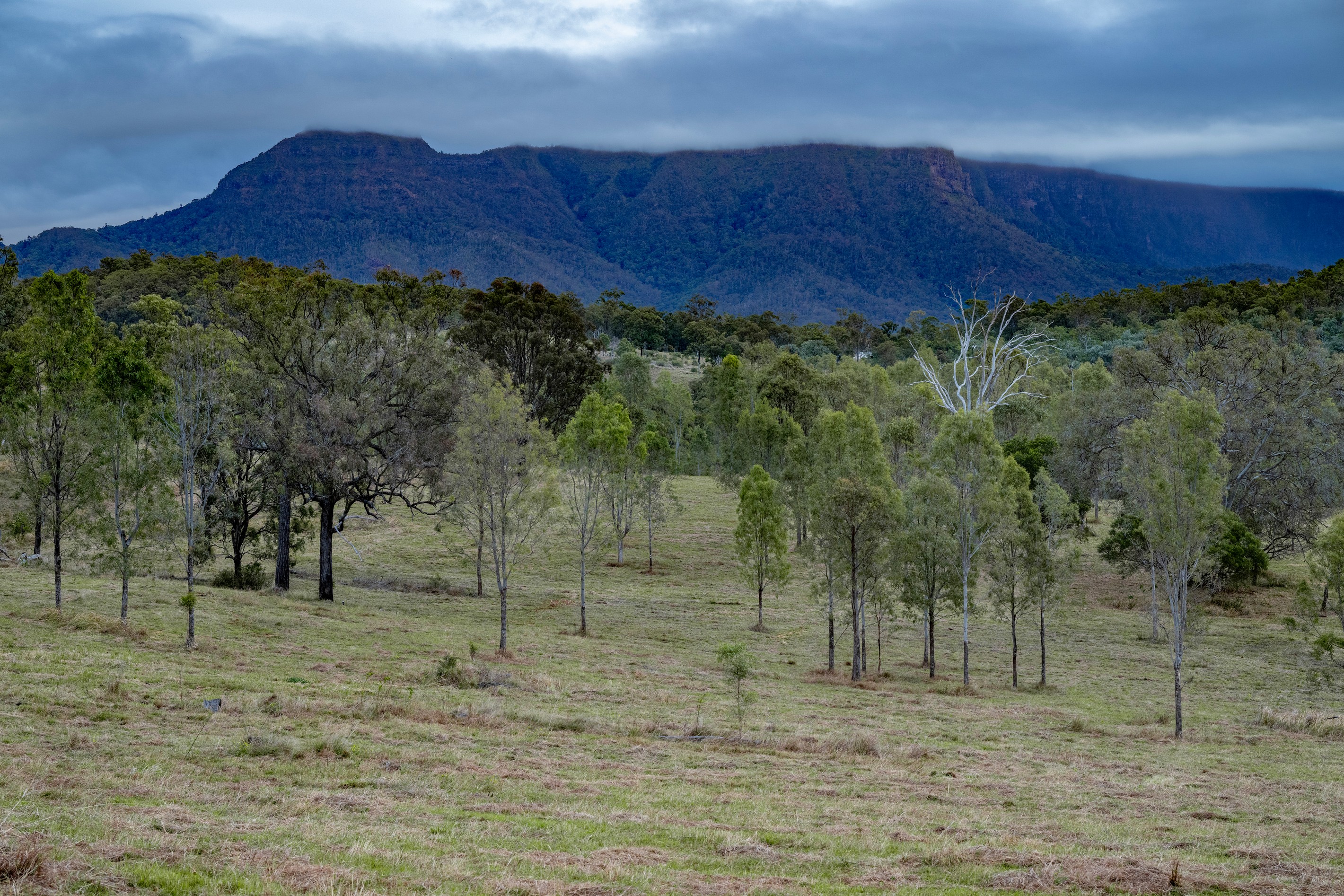 0 Cunningham Highway, Clumber, QLD 4309