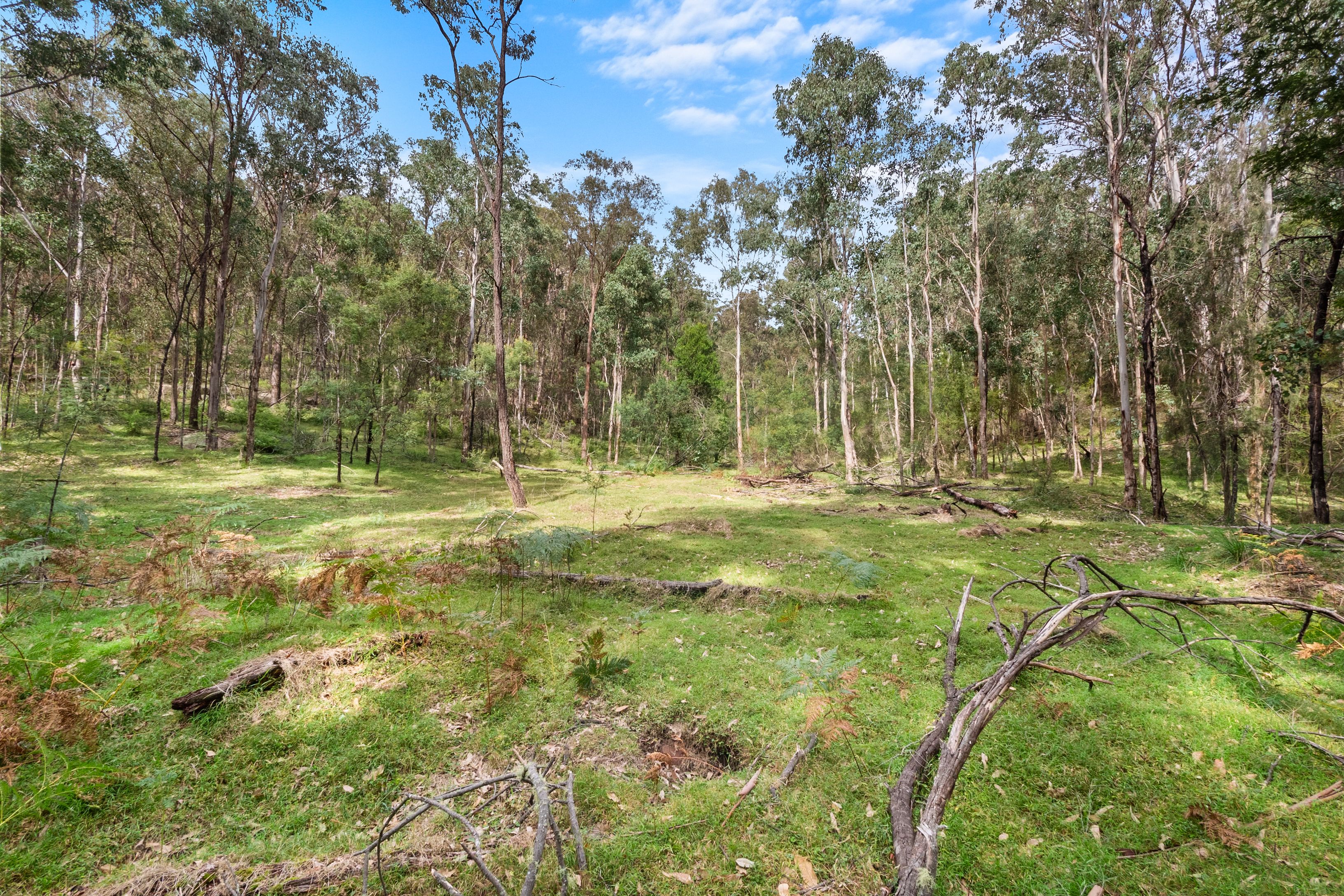 4320 Putty Road, Howes Valley, NSW 2330 Land for Sale Ray White