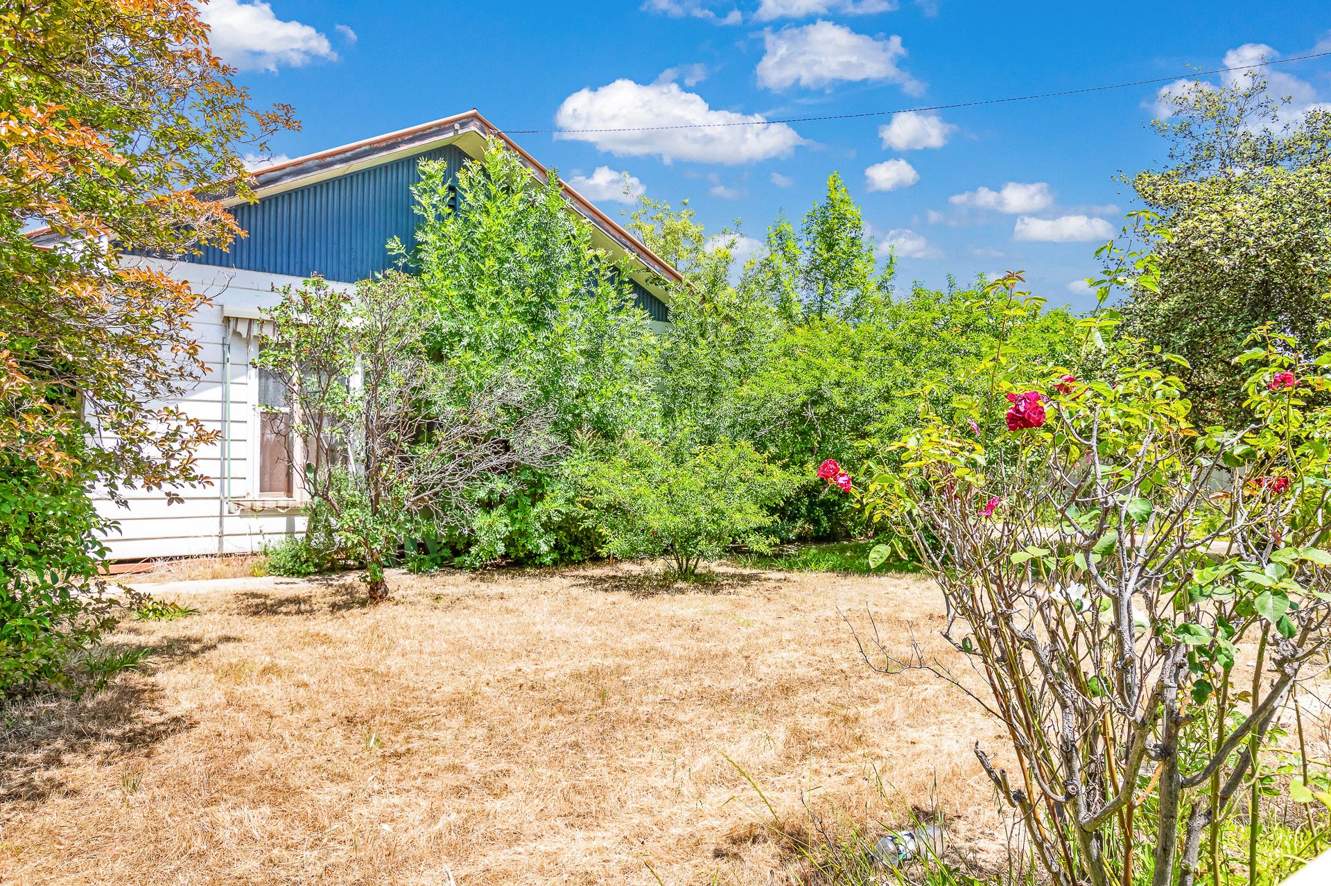 17 Echuca Street, Moama NSW 2731