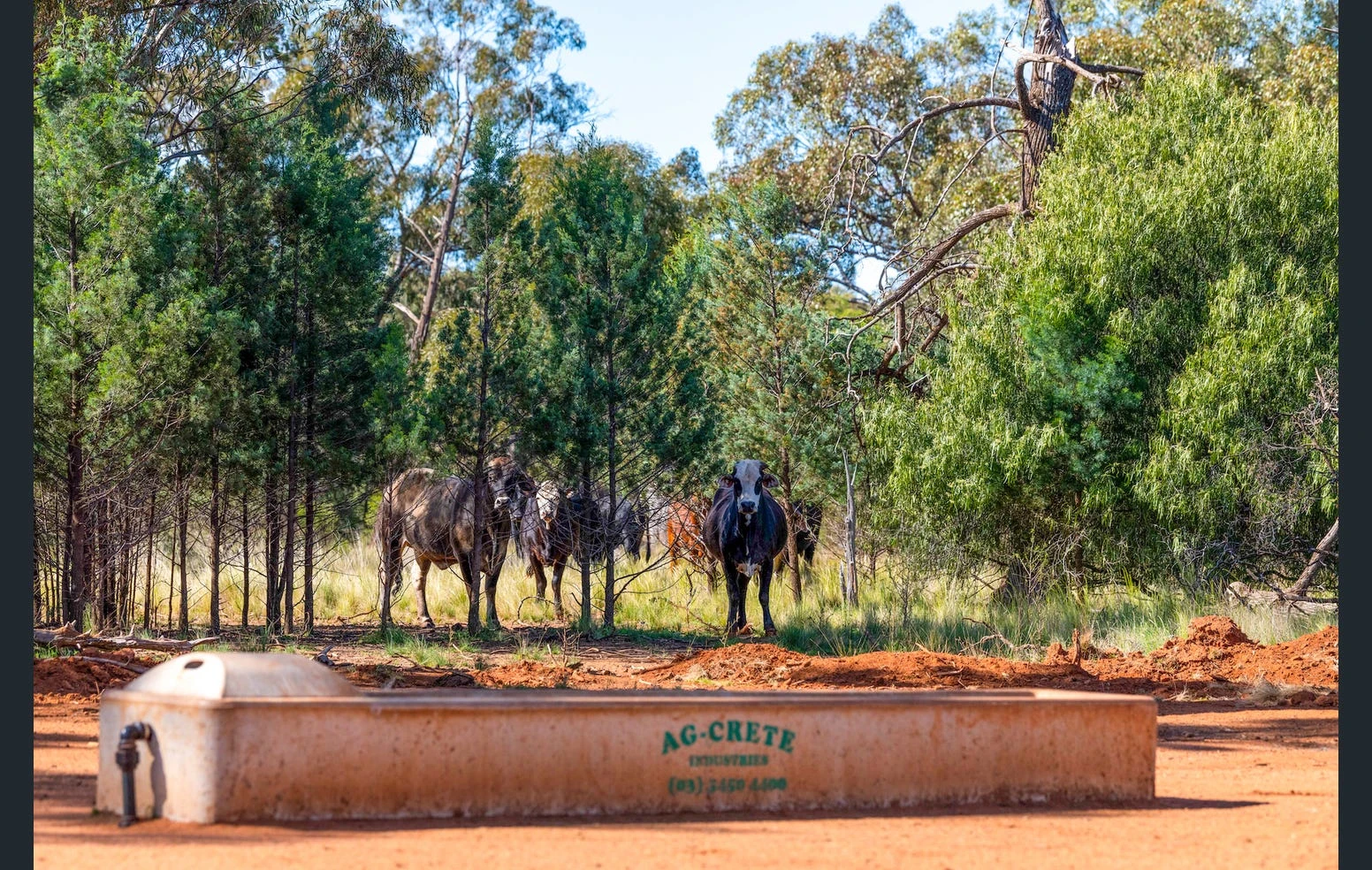 'Black Range' 2880 Tallebung Road, Eremerang, NSW 2877