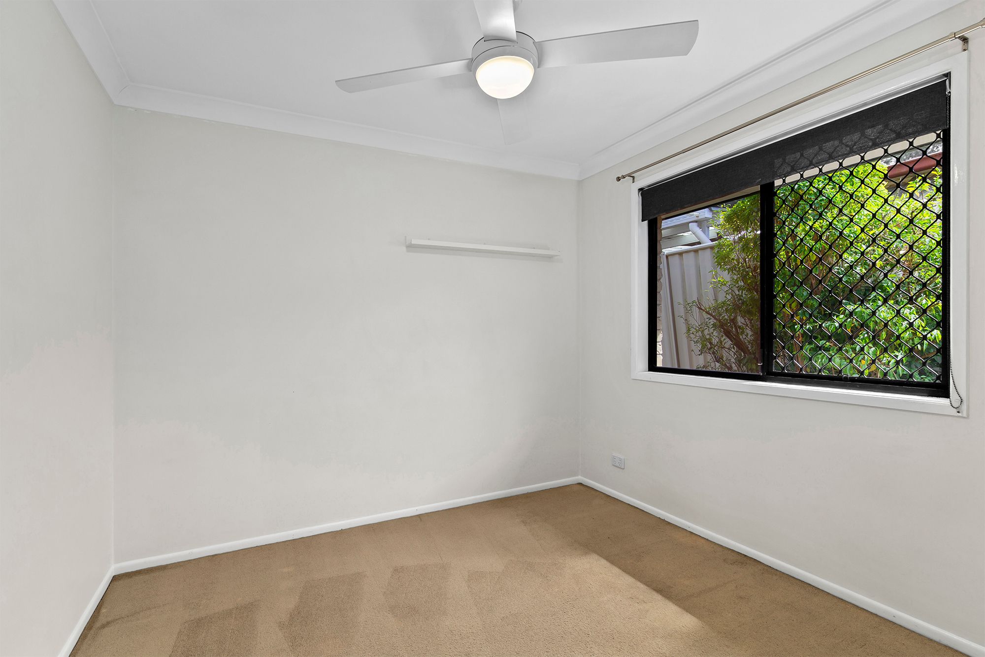 15 Ewan Place — photo 10 of 16