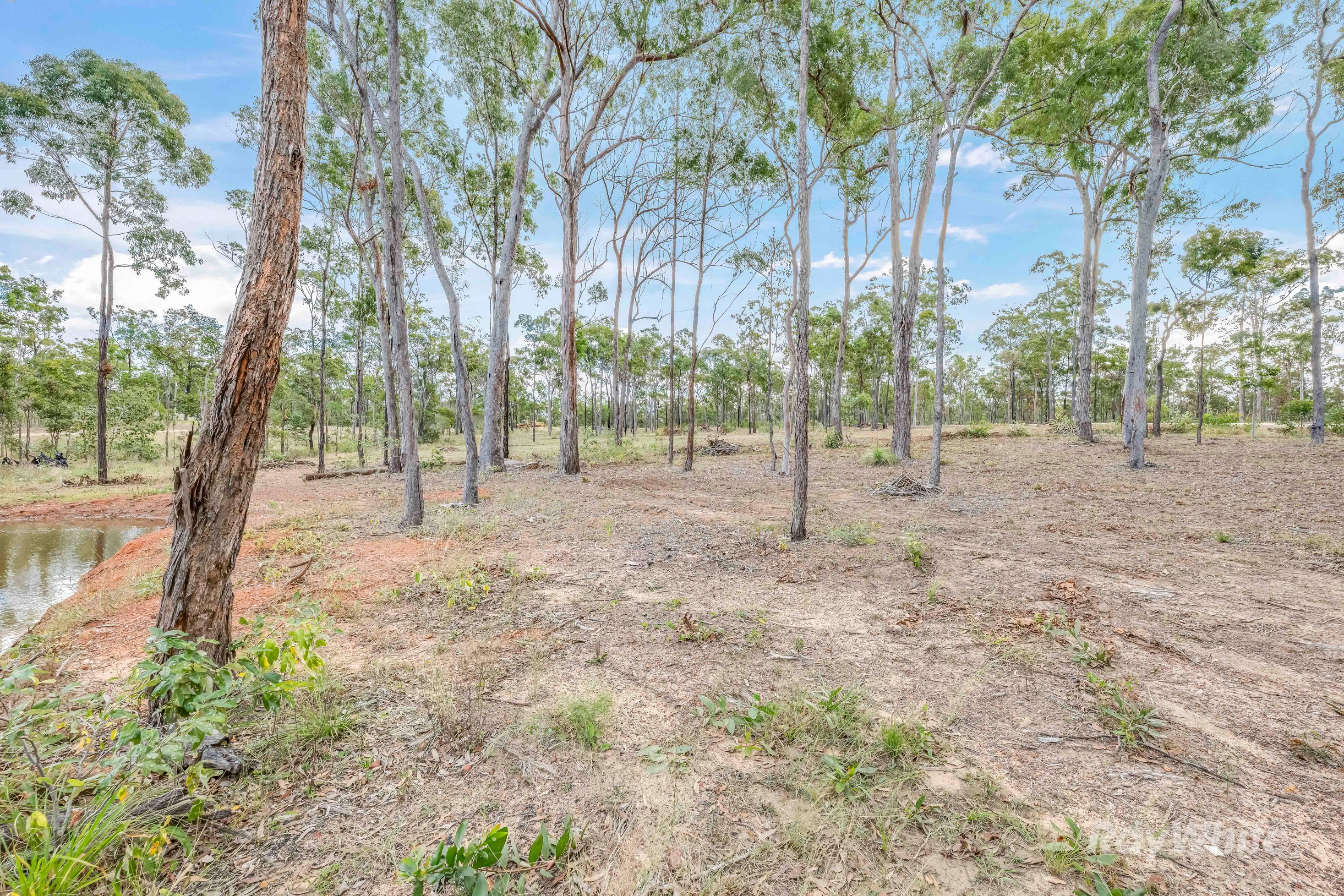 85 Barrs Road, Bucca, QLD 4670