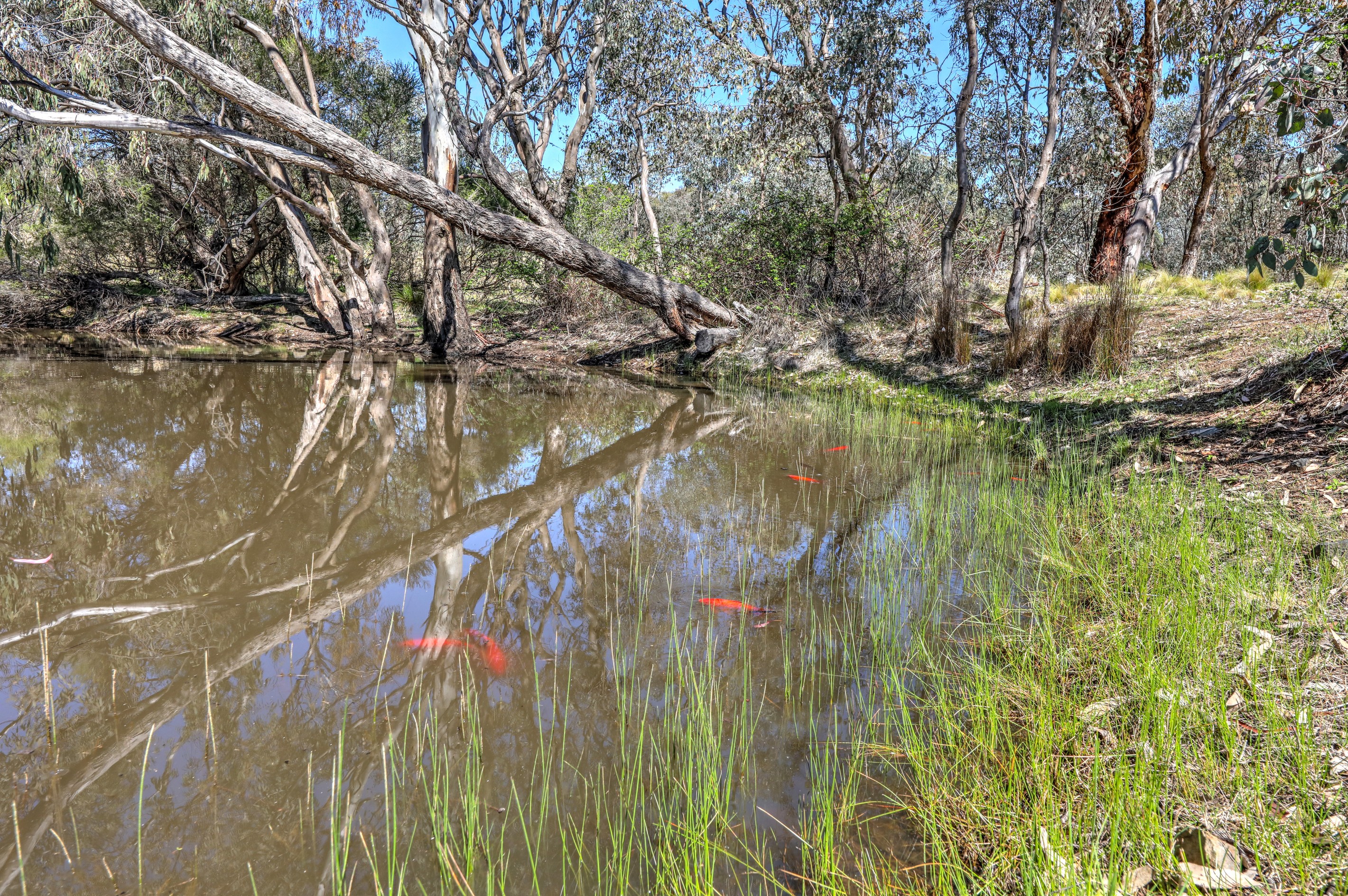 Lot 77-79, 131 Prescot Street, Lyndhurst, NSW 2797