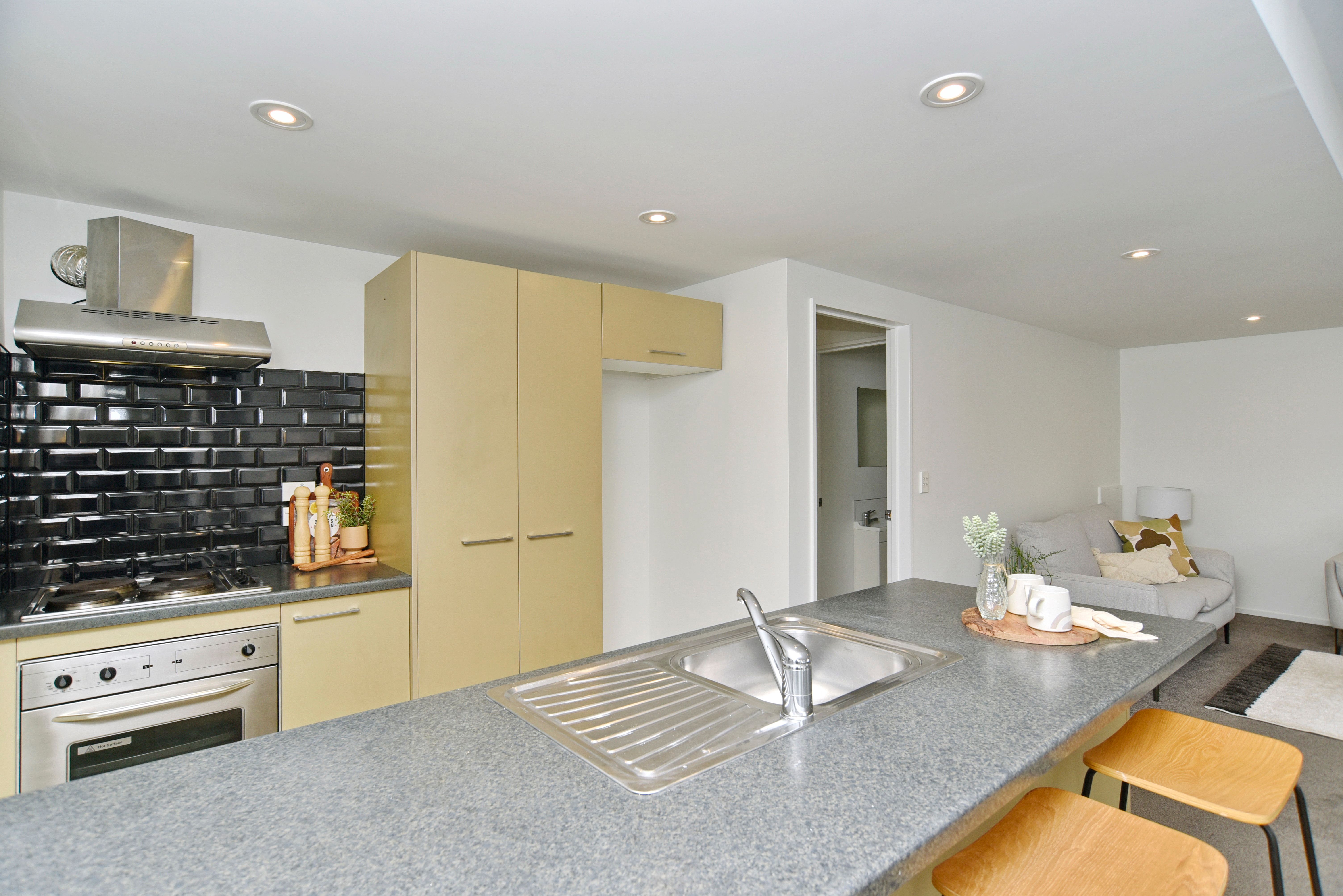 24 Buccleugh Street, Phillipstown, Christchurch City