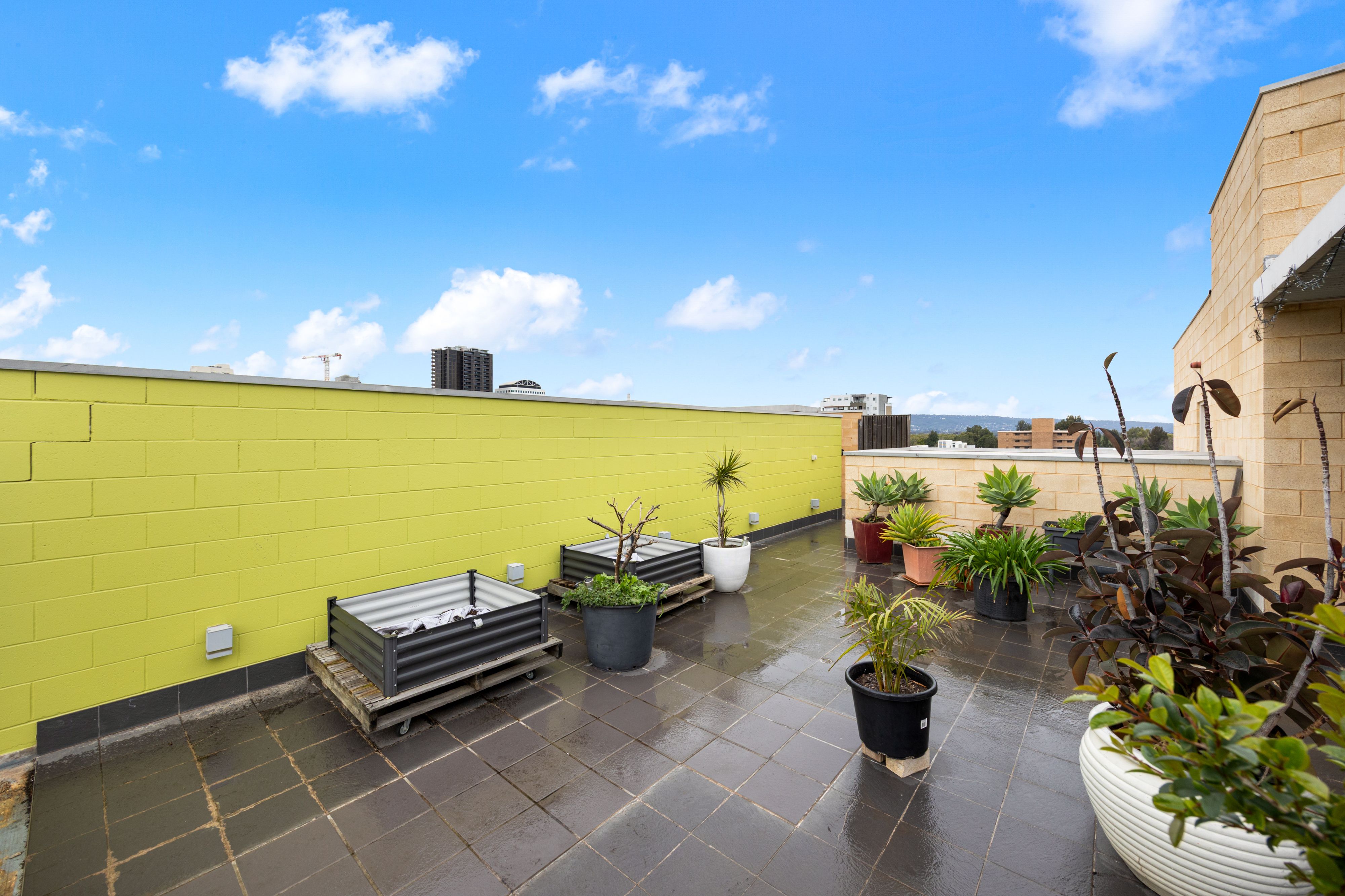 203/129 Sturt Street — photo 12 of 17