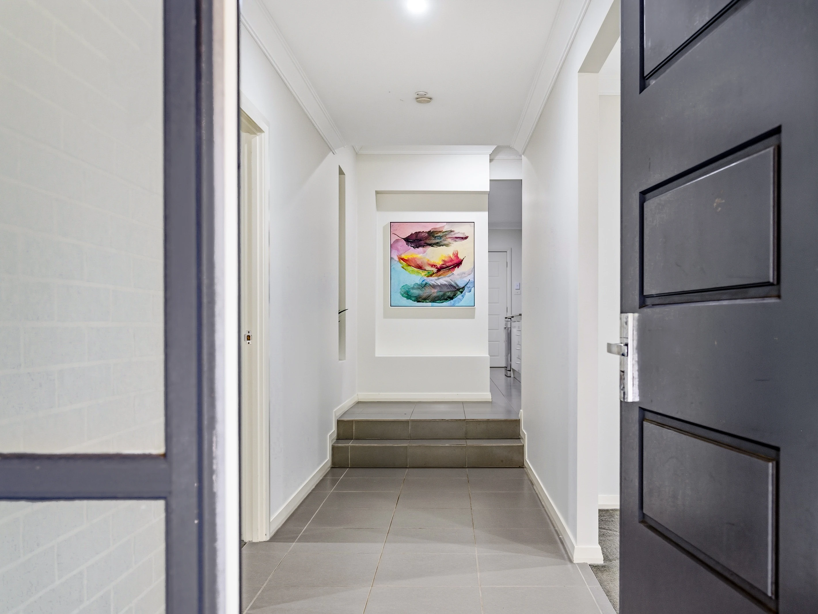 248 South Circuit, Oran Park, NSW 2570