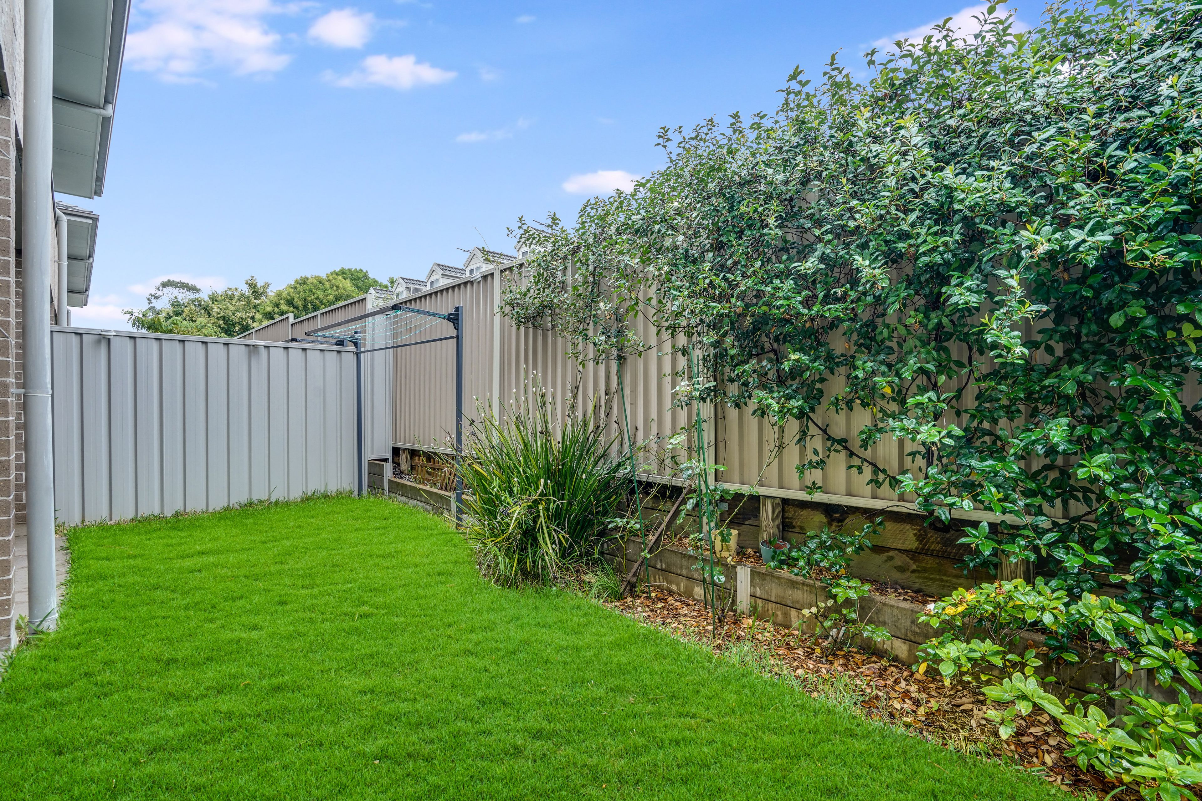 3/150 Adelaide Street — photo 6 of 12