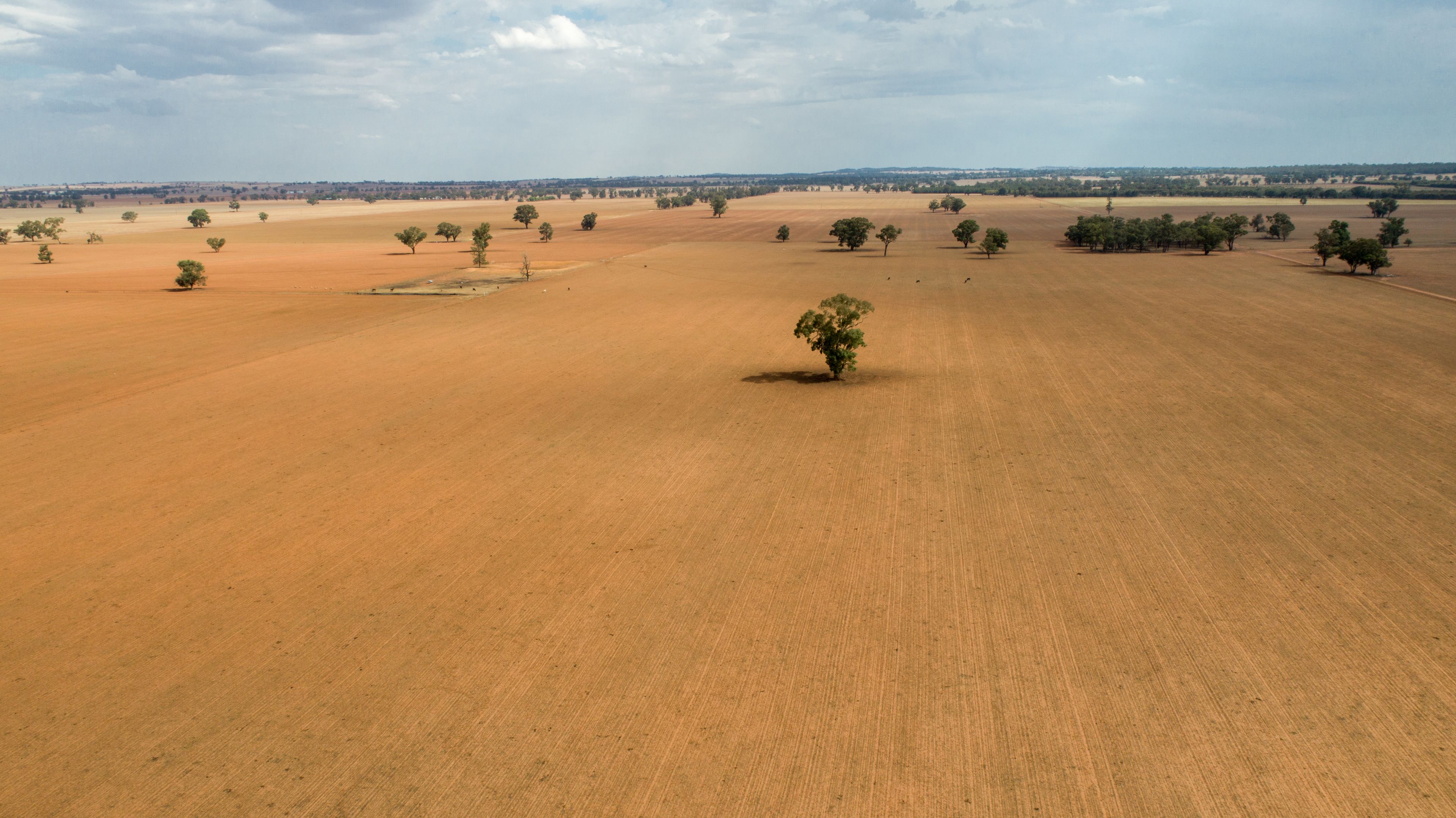 Coolamon, NSW 2701