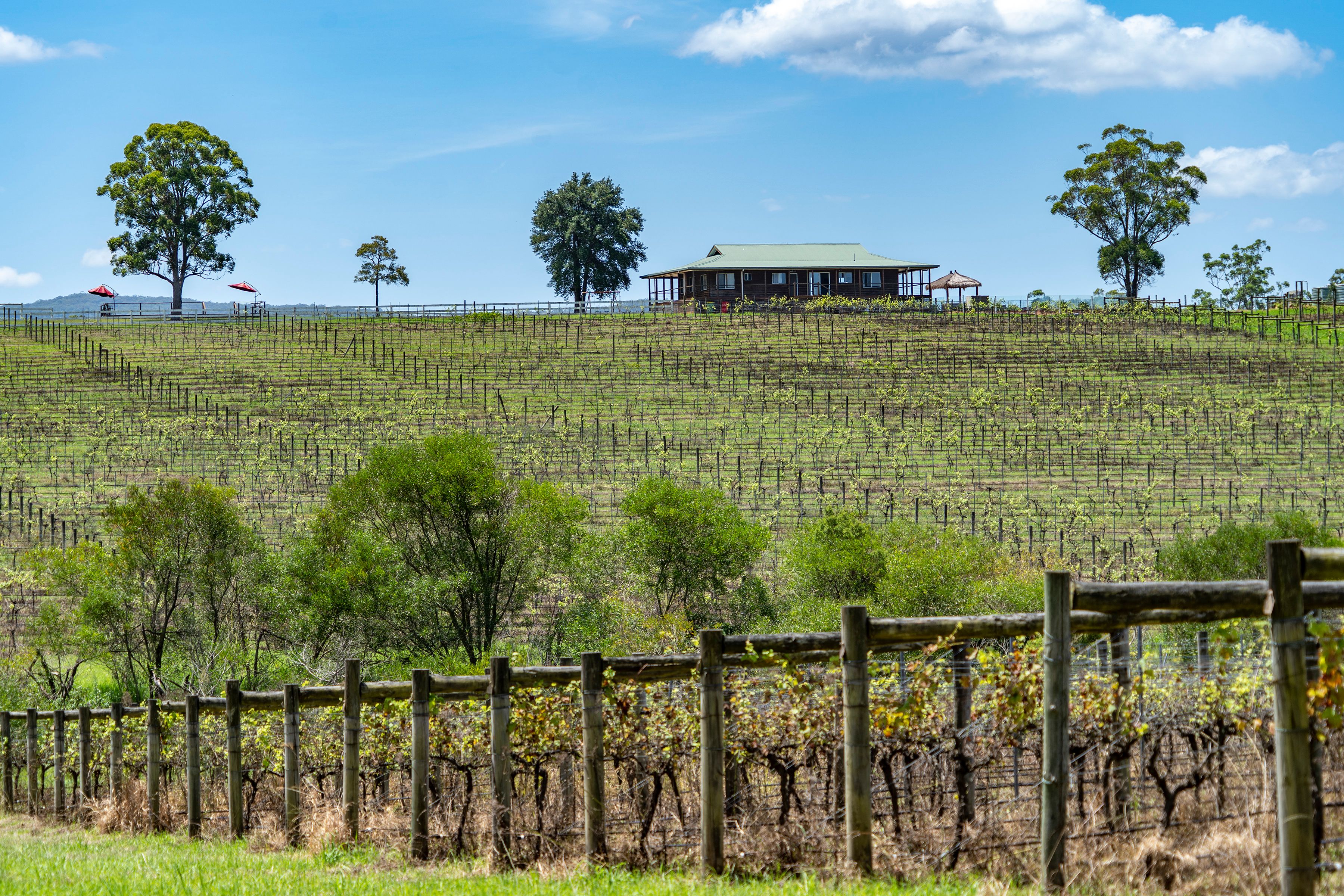 240 Mount Faulk Road, Cooranbong, NSW 2265